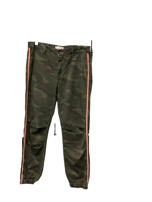 Pants Joggers By Sundry  Size: 2