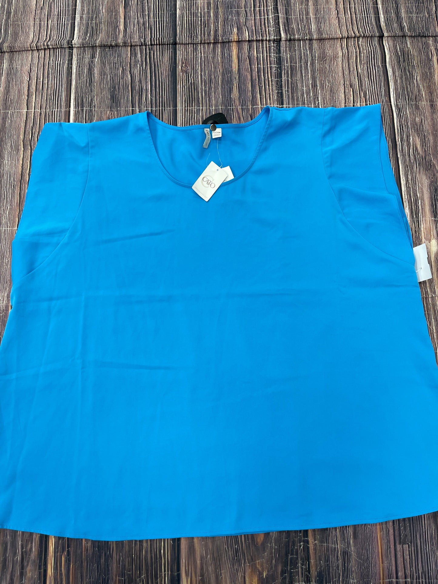 Top Short Sleeve By Cato In Blue, Size: 2x