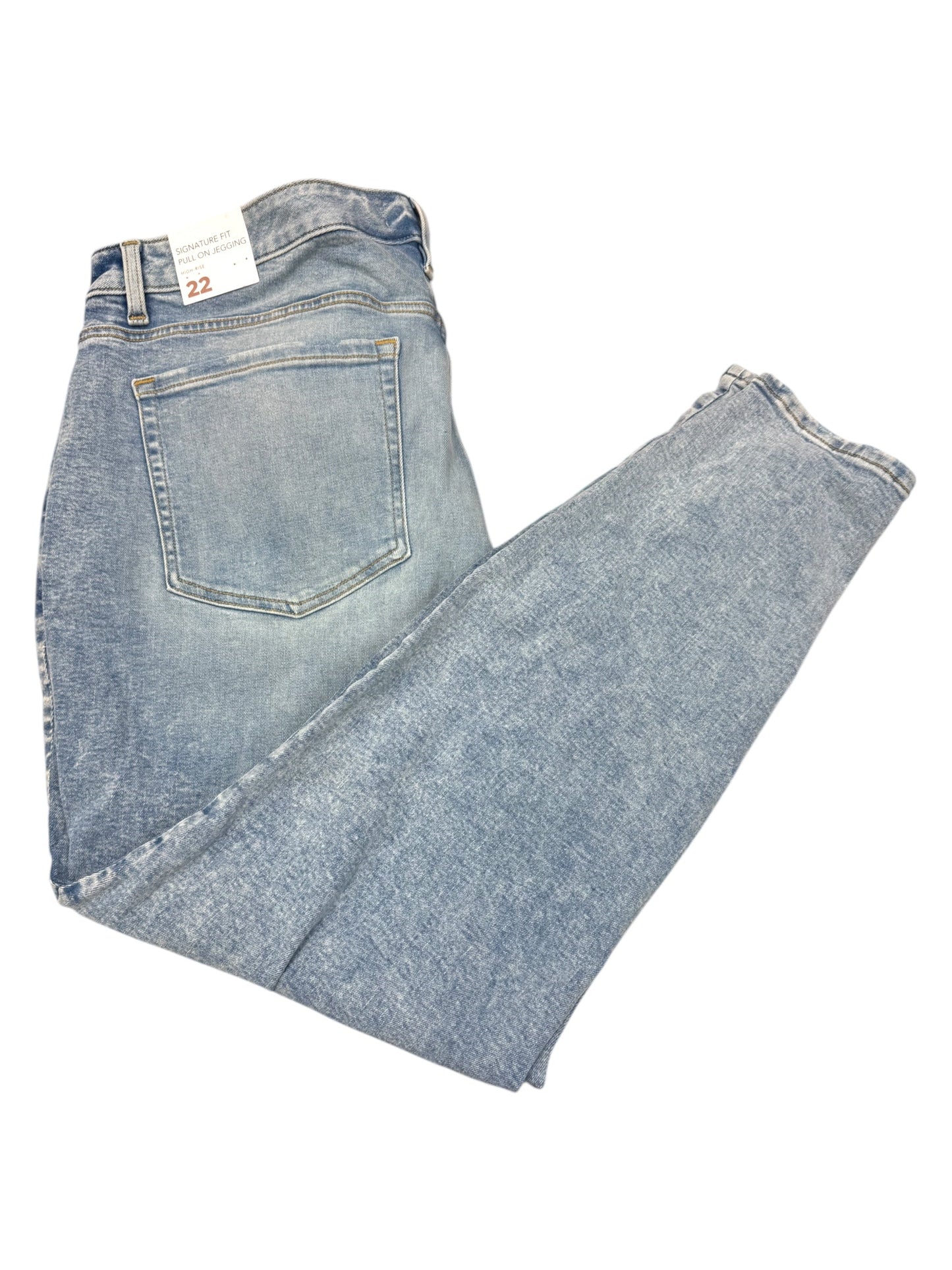 Jeans Skinny By Lane Bryant In Blue Denim, Size: 22