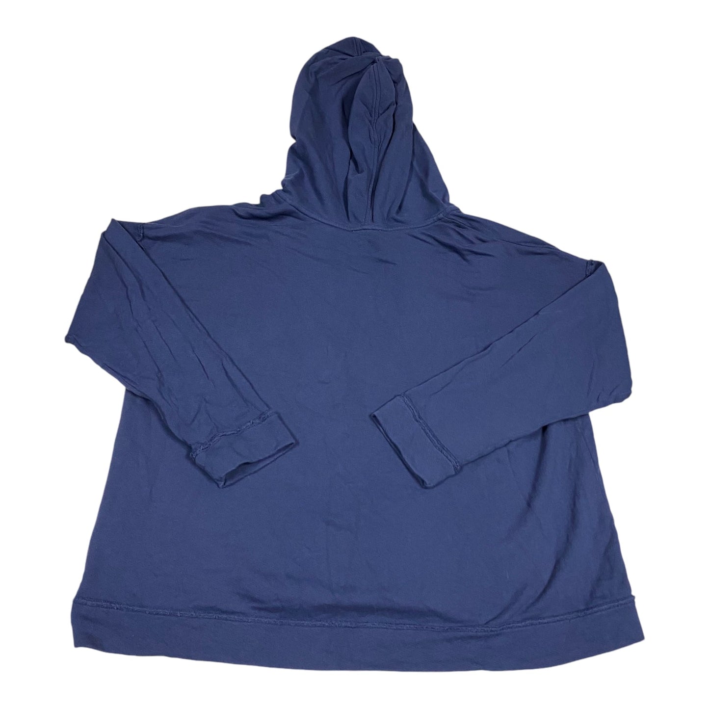 Sweatshirt Hoodie By Eileen Fisher In Blue, Size: Xl