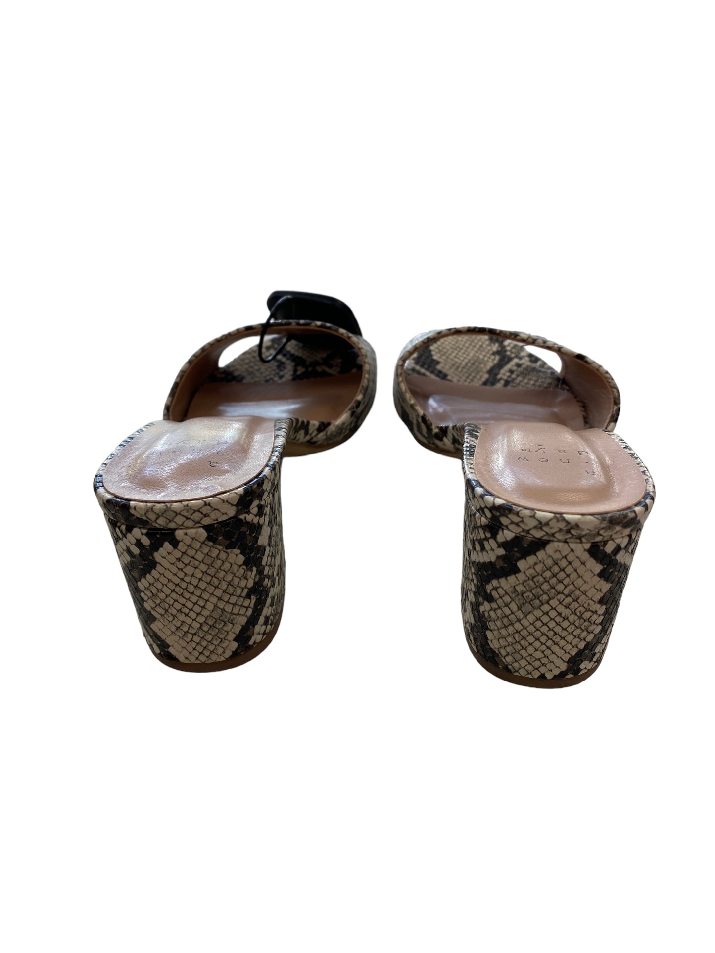 Snakeskin Print Sandals Heels Block A New Day, Size 6.5