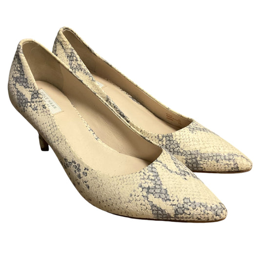 Shoes Heels Kitten By Cole-haan In Snakeskin Print, Size: 6