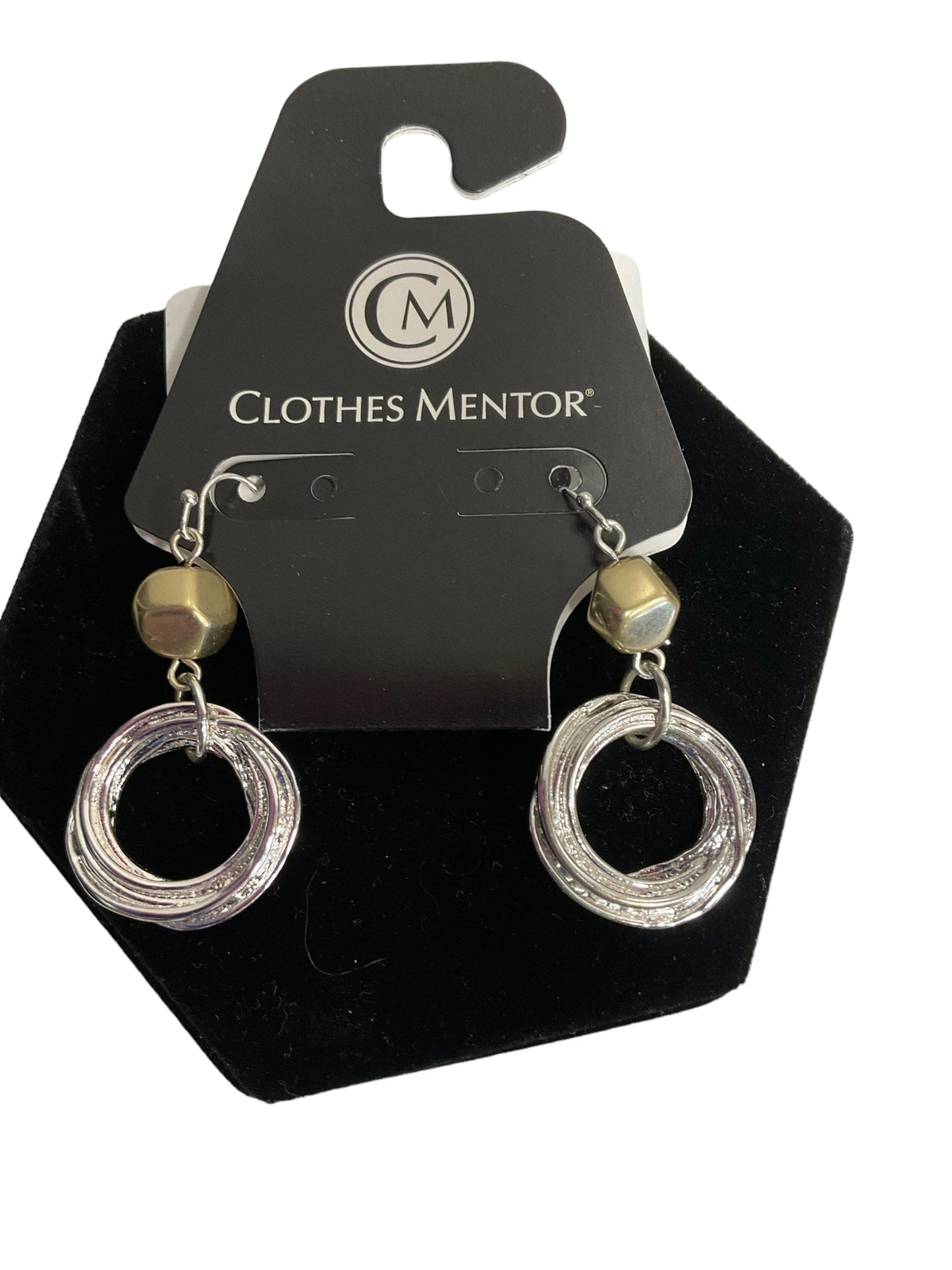 Earrings Dangle/drop By Chicos