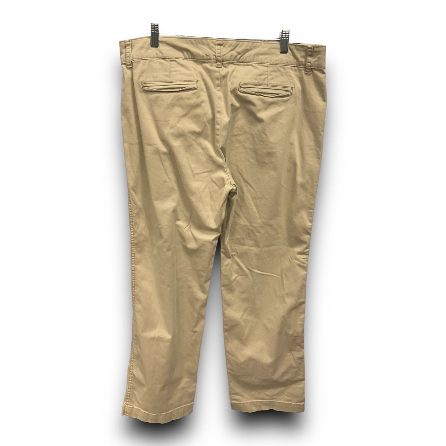 Pants Other By Charter Club In Tan, Size: 16