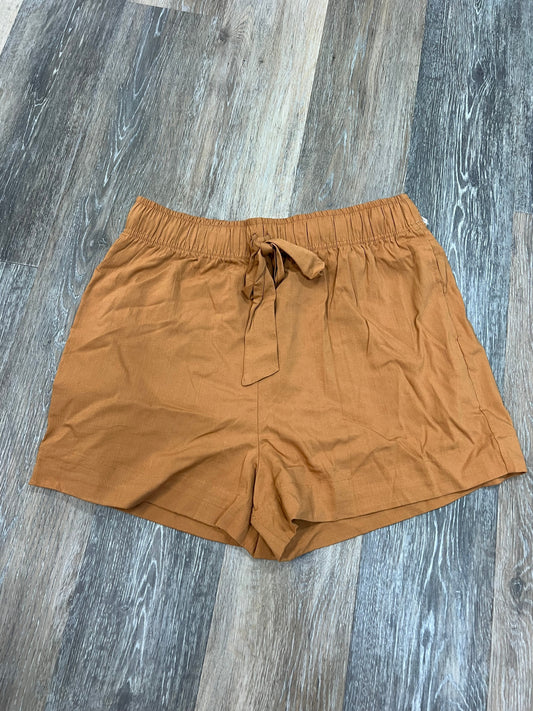 Shorts By Evereve  Size: L