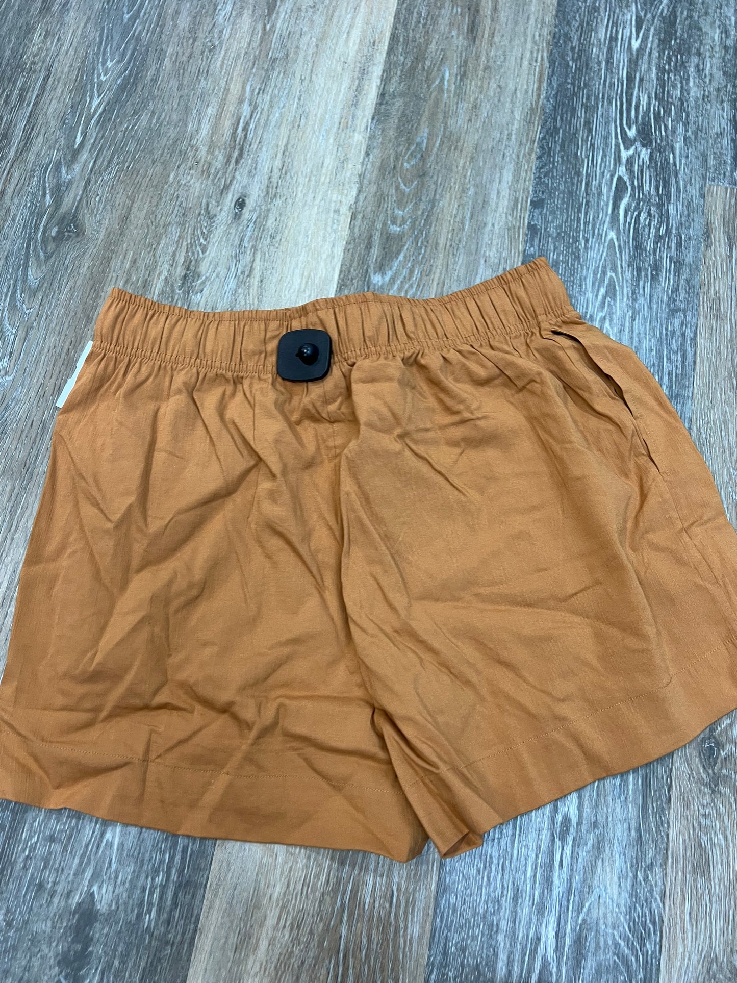Shorts By Evereve  Size: L