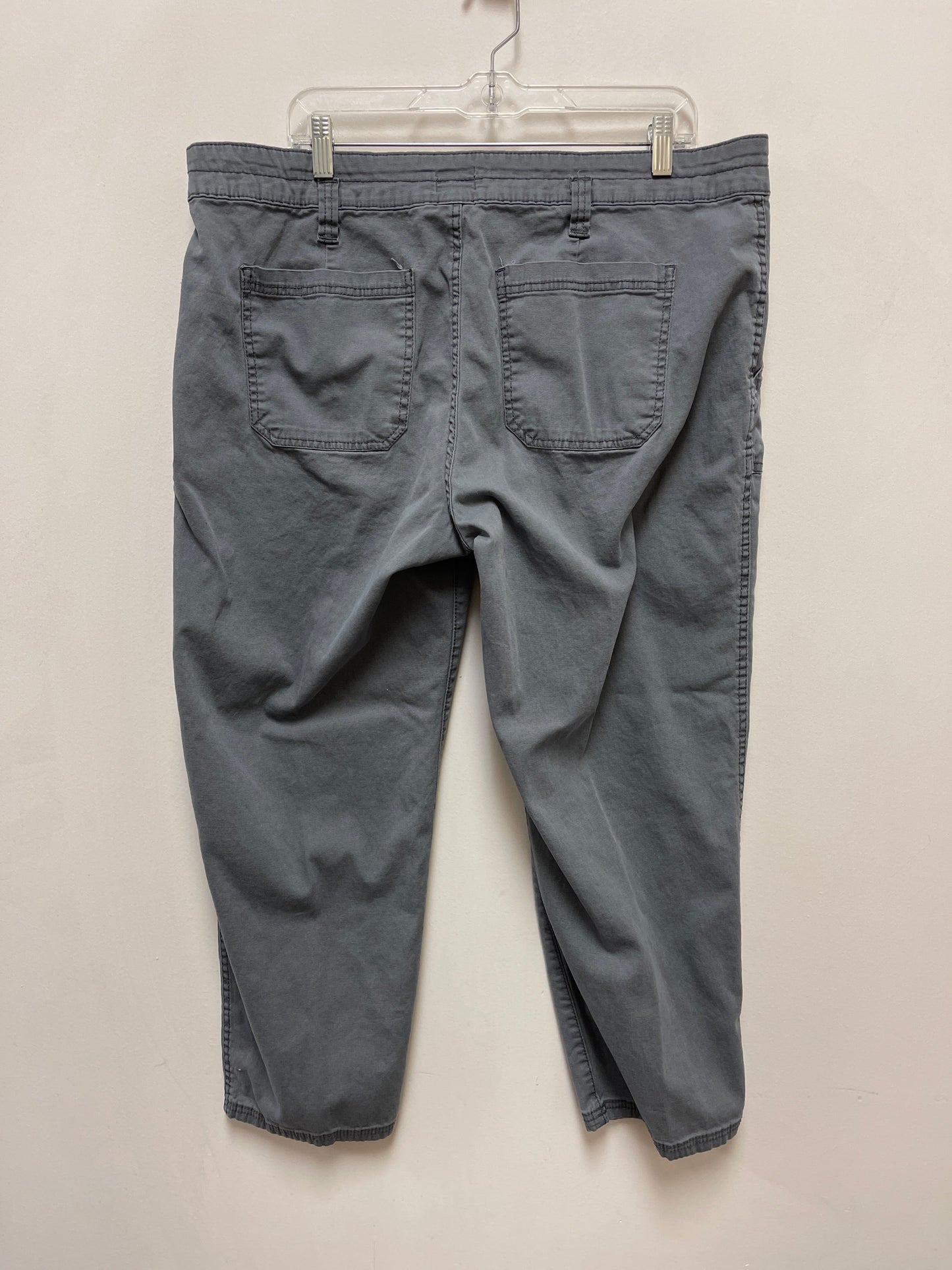 Pants Cargo & Utility By Time And Tru In Grey, Size: 18