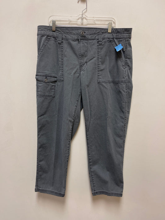 Pants Cargo & Utility By Time And Tru In Grey, Size: 18