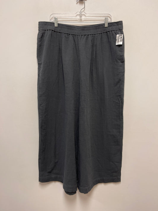 Pants Linen By Madewell In Grey, Size: Xl