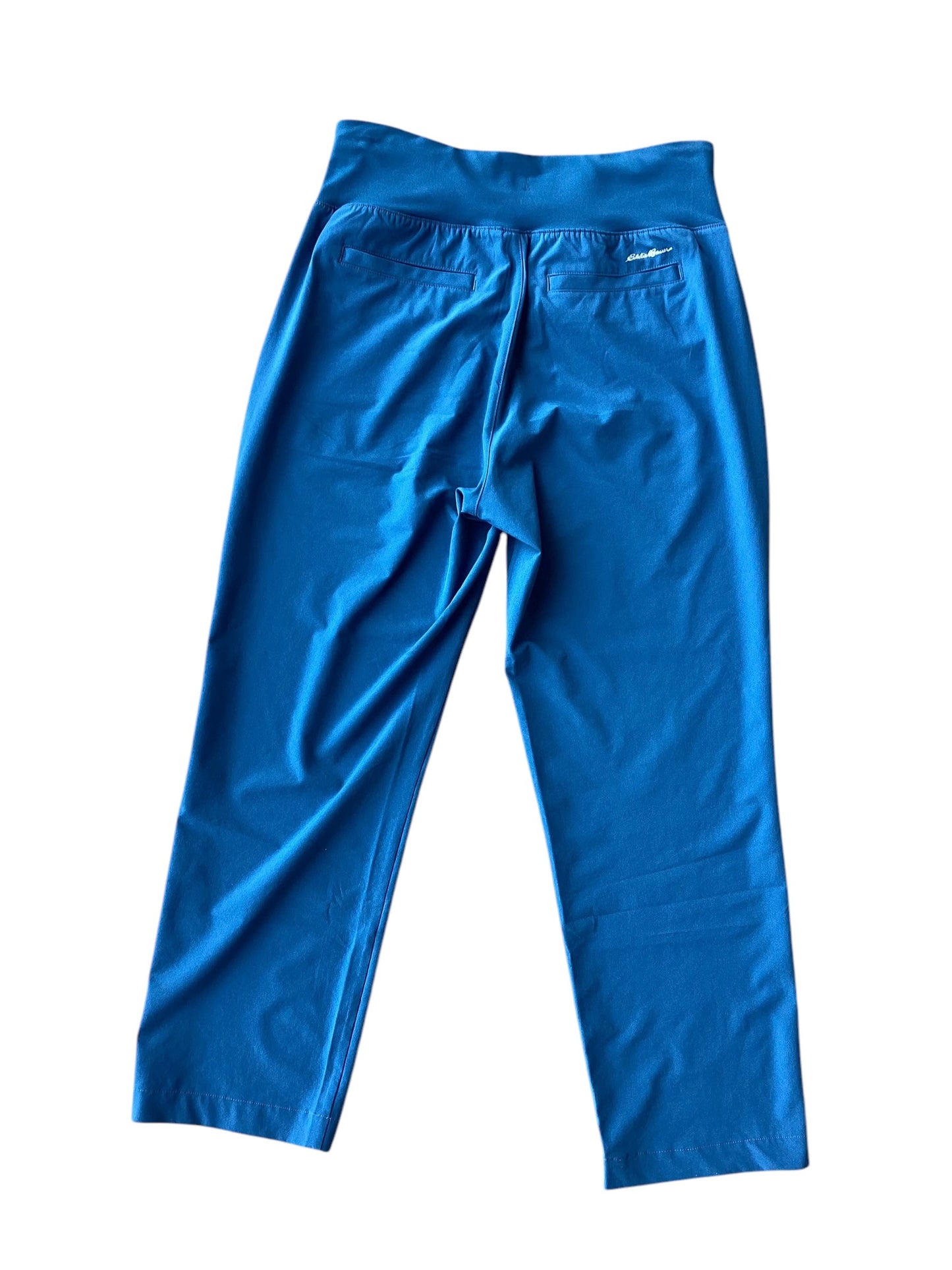 Athletic Pants By Eddie Bauer In Blue, Size: Xs