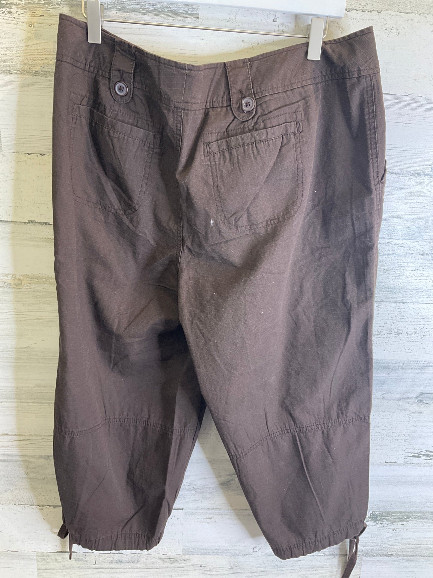 Capris By St Johns Bay In Brown, Size: 16