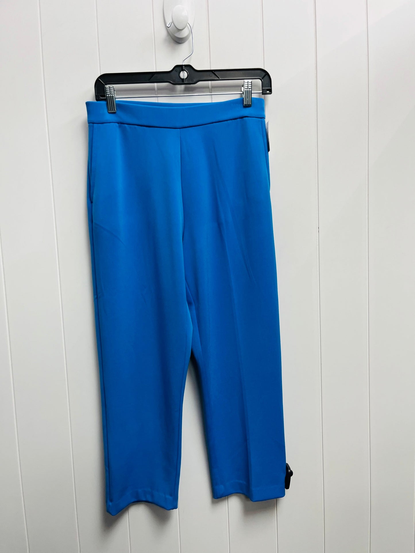 PANTS OTHER SUSAN GRAVER in BLUE, Size: XS