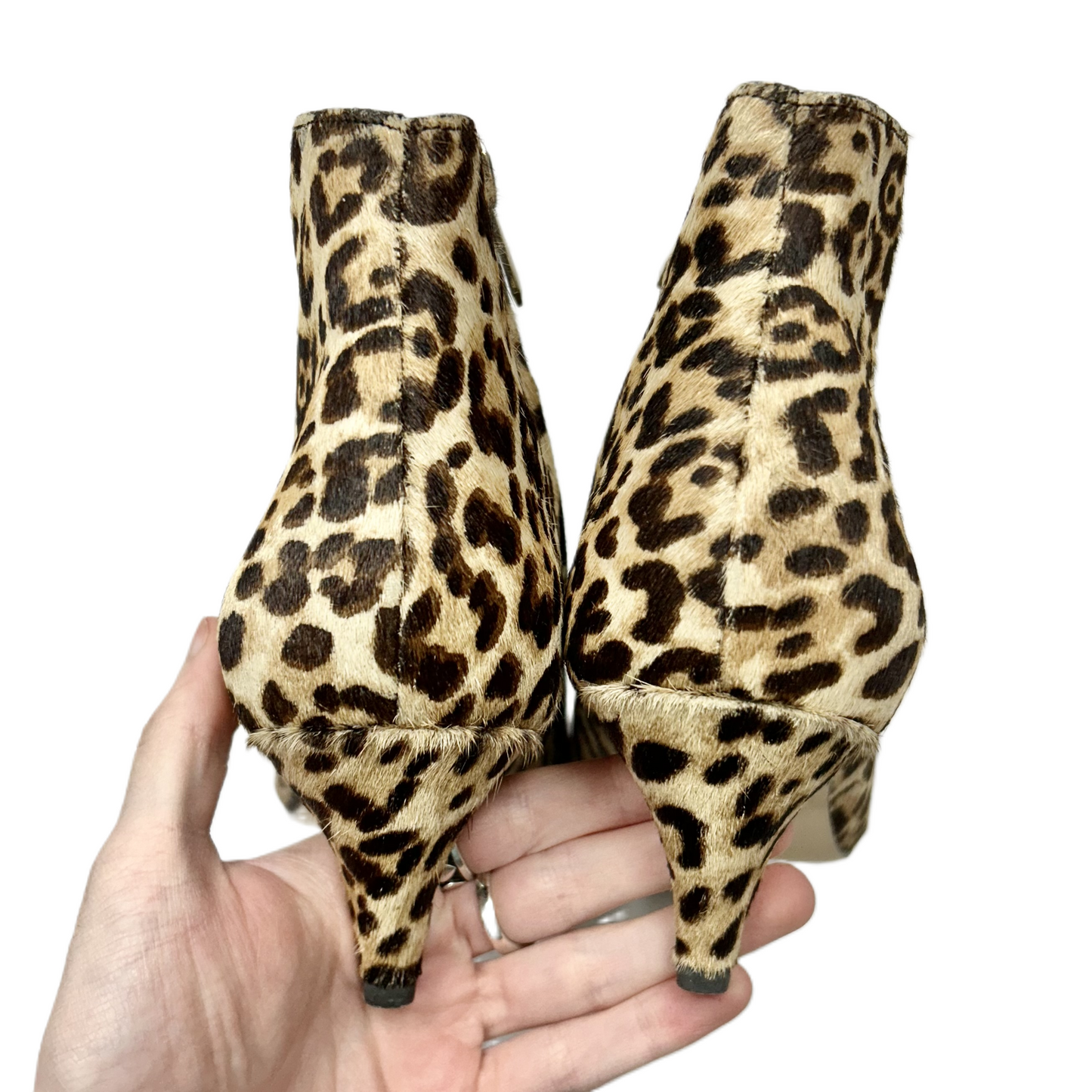 Boots Ankle Heels By Sam Edelman In Leopard Print, Size: 9.5