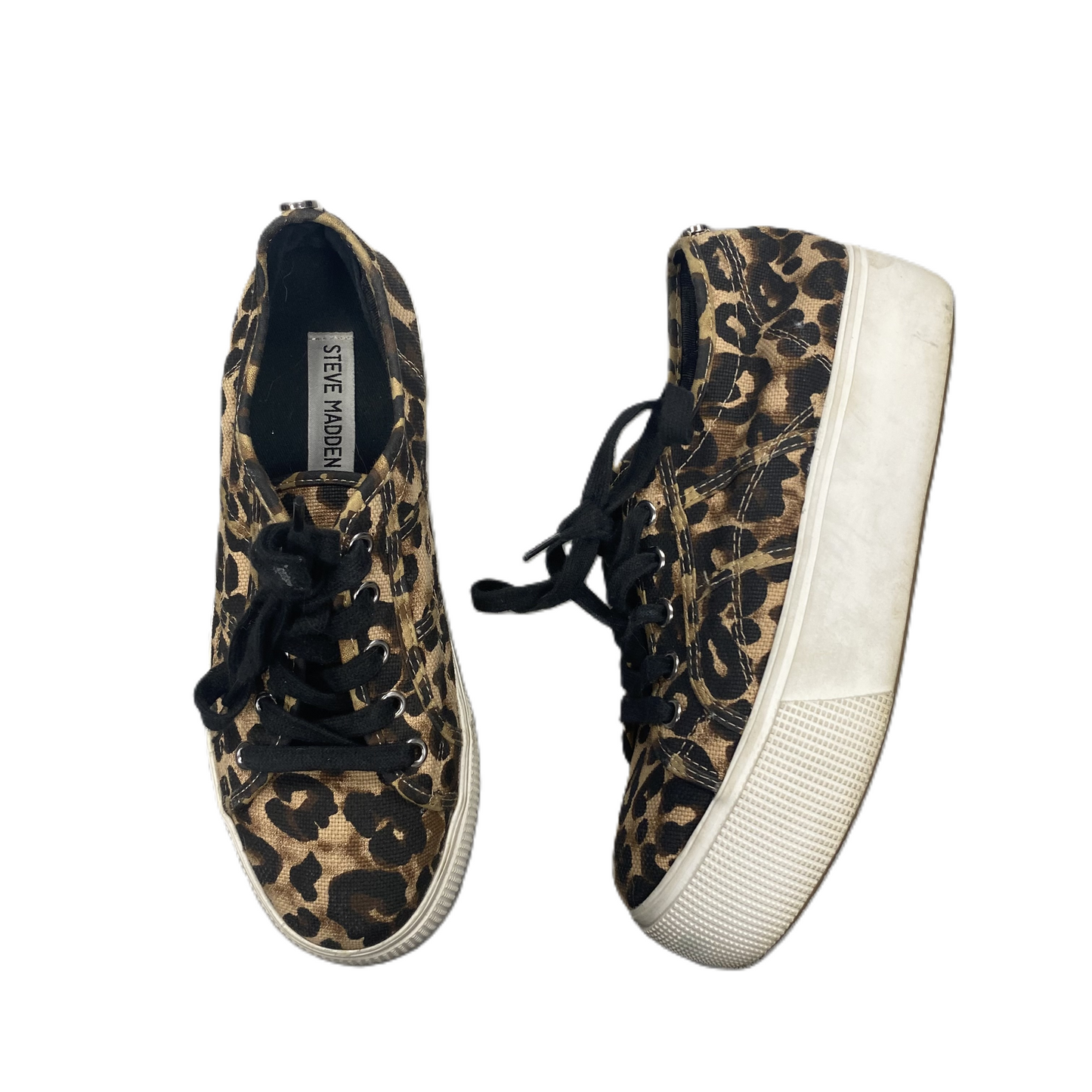 Shoes Sneakers Platform By Steve Madden In Leopard Print, Size: 7.5