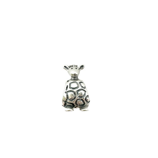 Jewelry Charm By Pandora