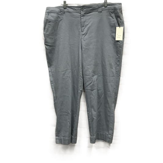 Grey Pants Other By A New Day, Size: 18