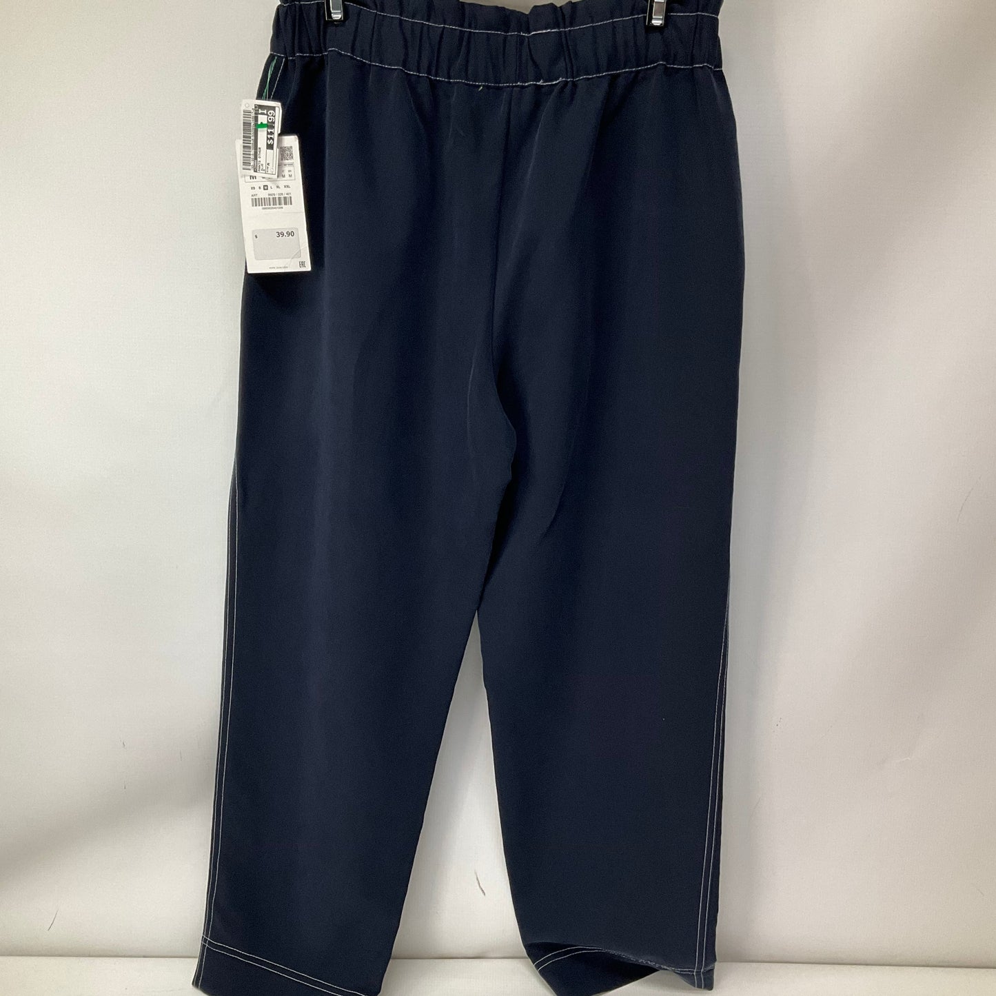 Pants Other By Zara In Blue, Size: M