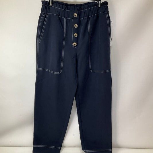 Pants Other By Zara In Blue, Size: M