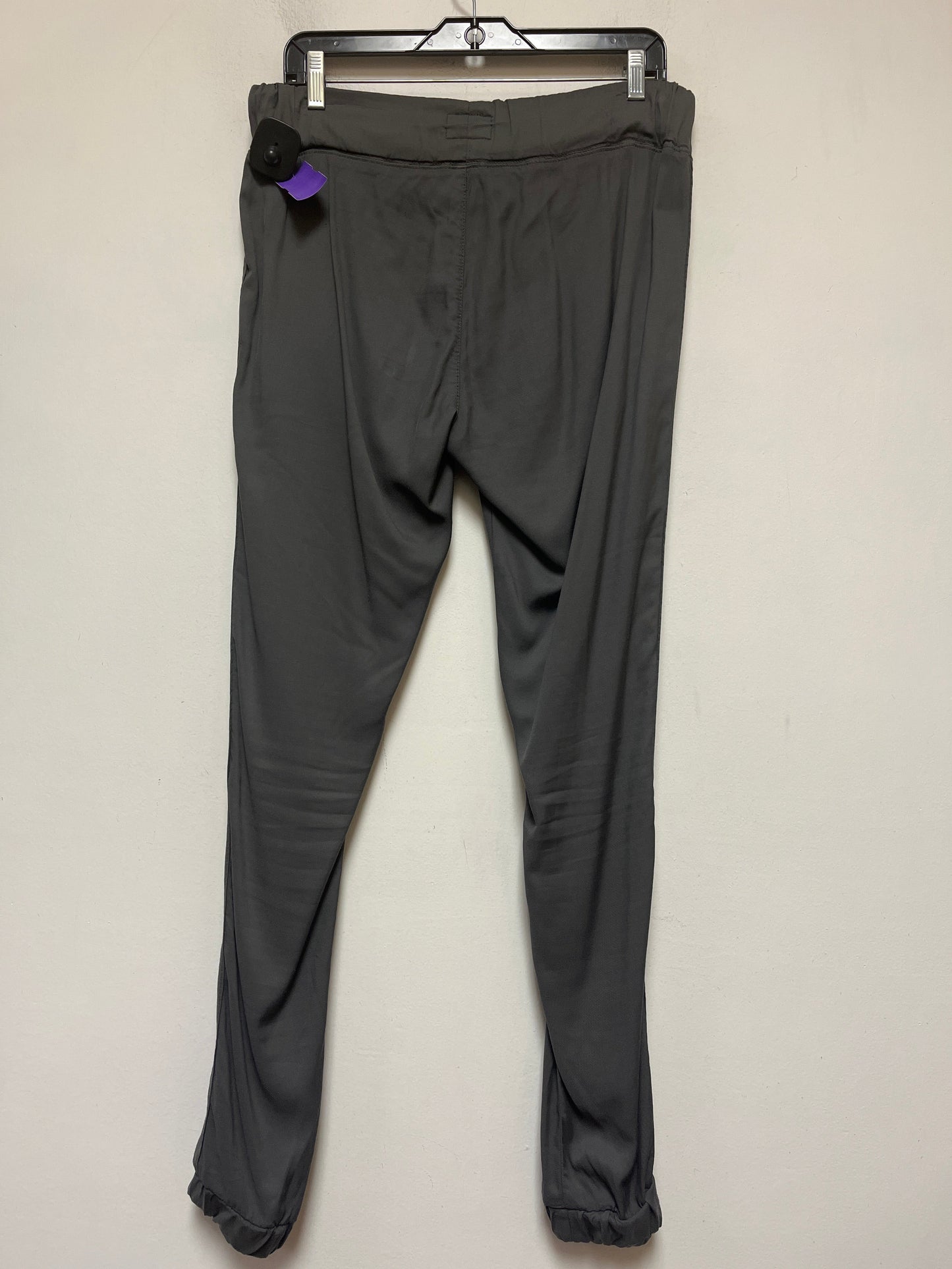 Grey Pants Joggers Hudson, Size 6