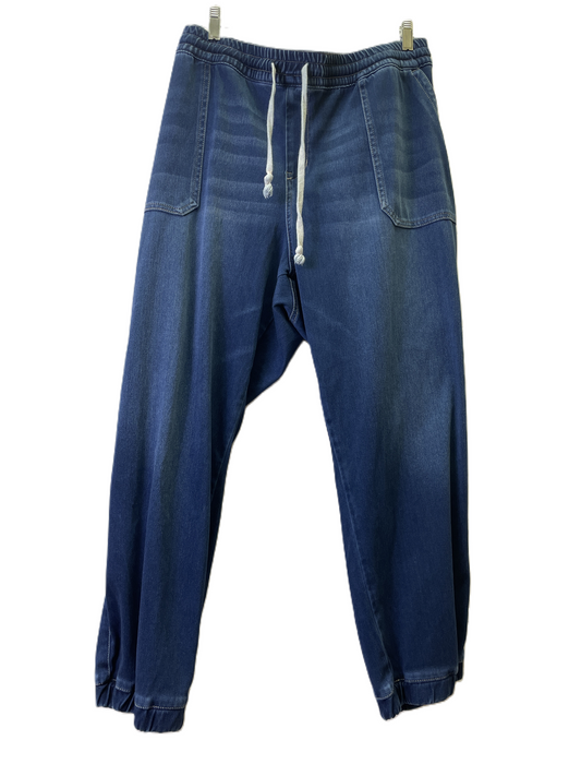 Pants Joggers By Lane Bryant In Blue, Size: 24