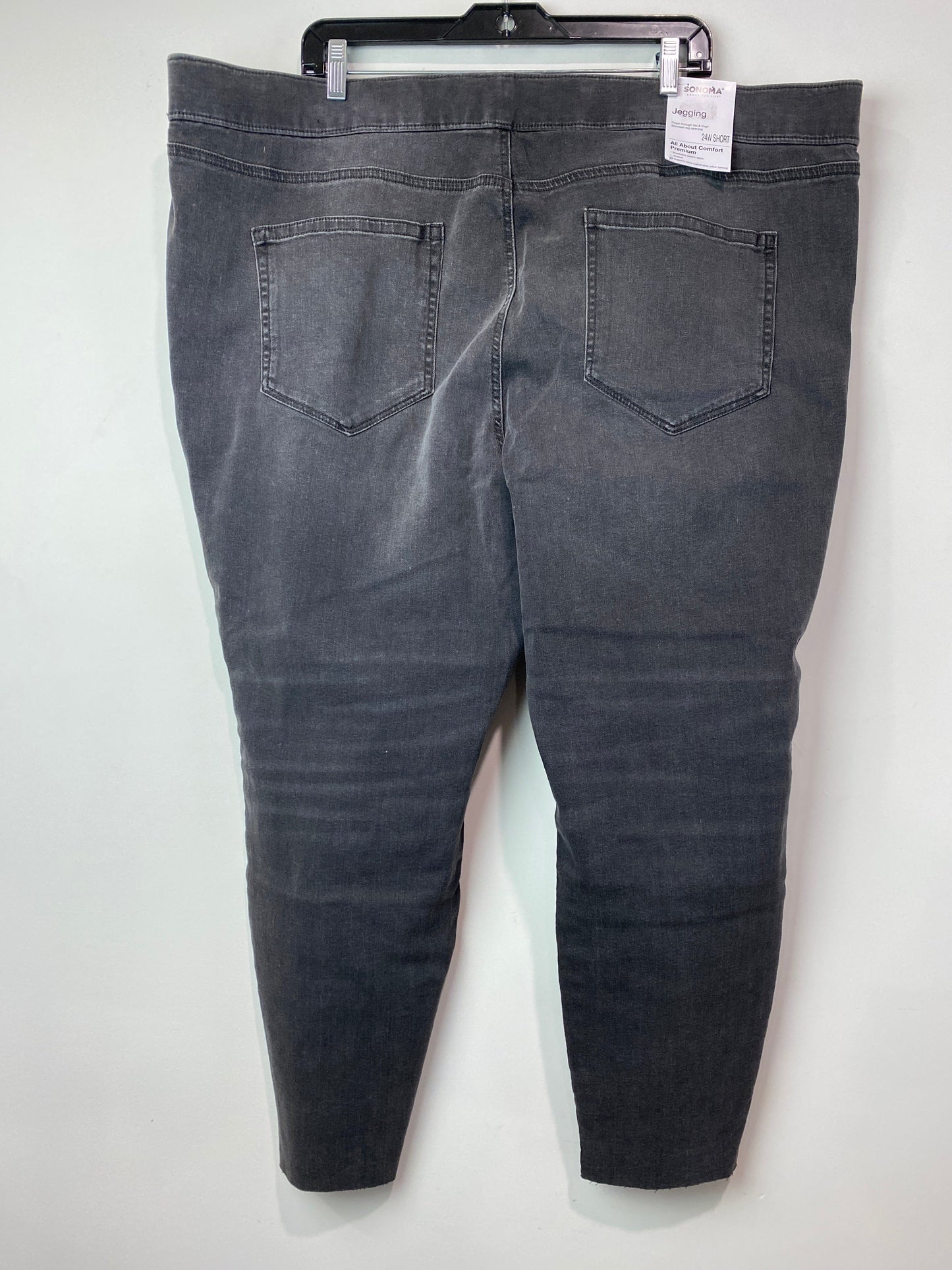 Jeans Jeggings By Sonoma  Size: 24