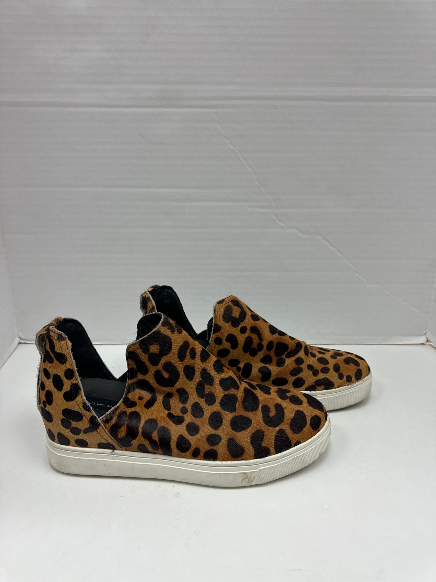 Shoes Sneakers By Steve Madden  Size: 7