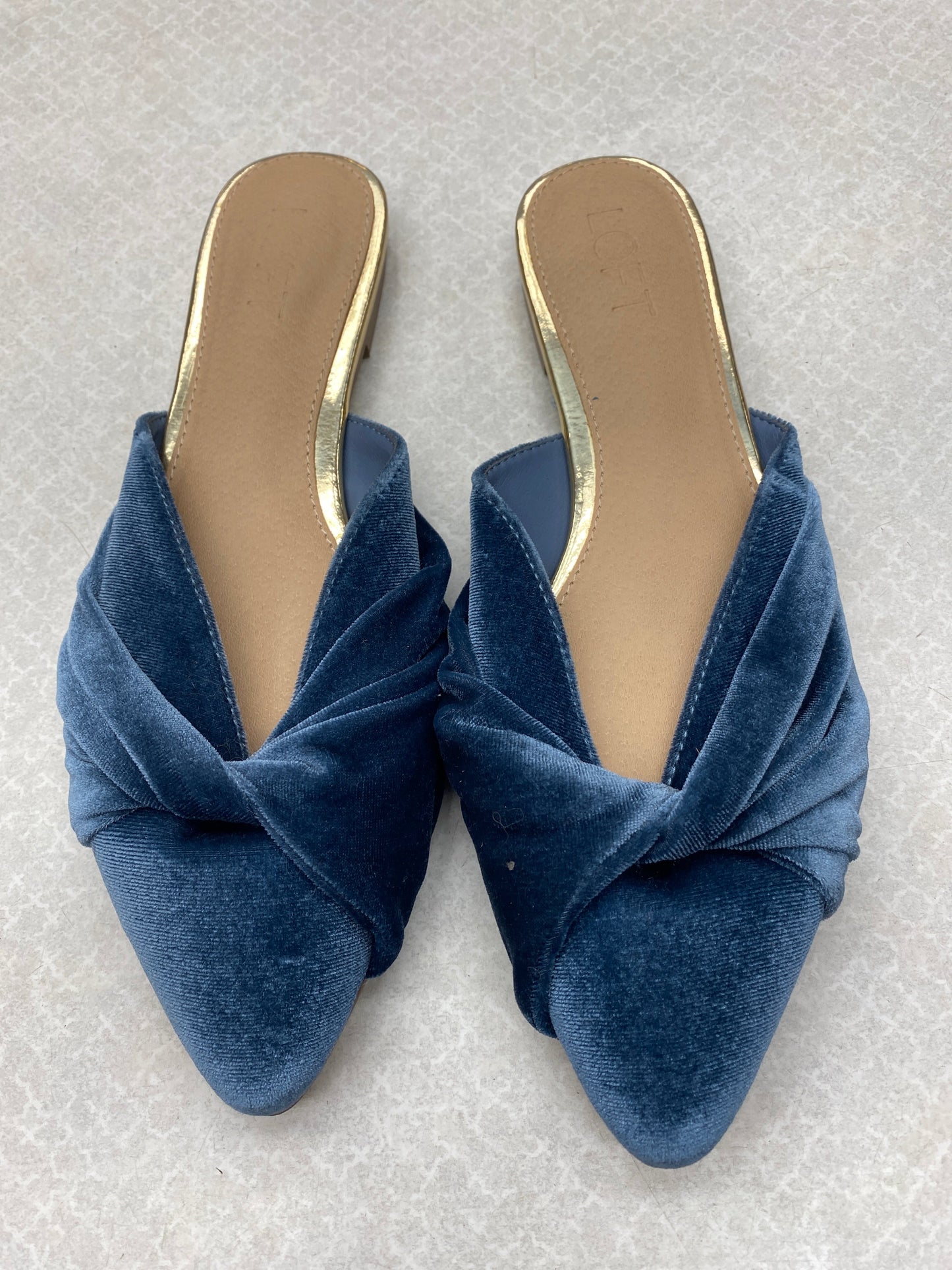 Shoes Flats By Loft In Blue, Size: 8