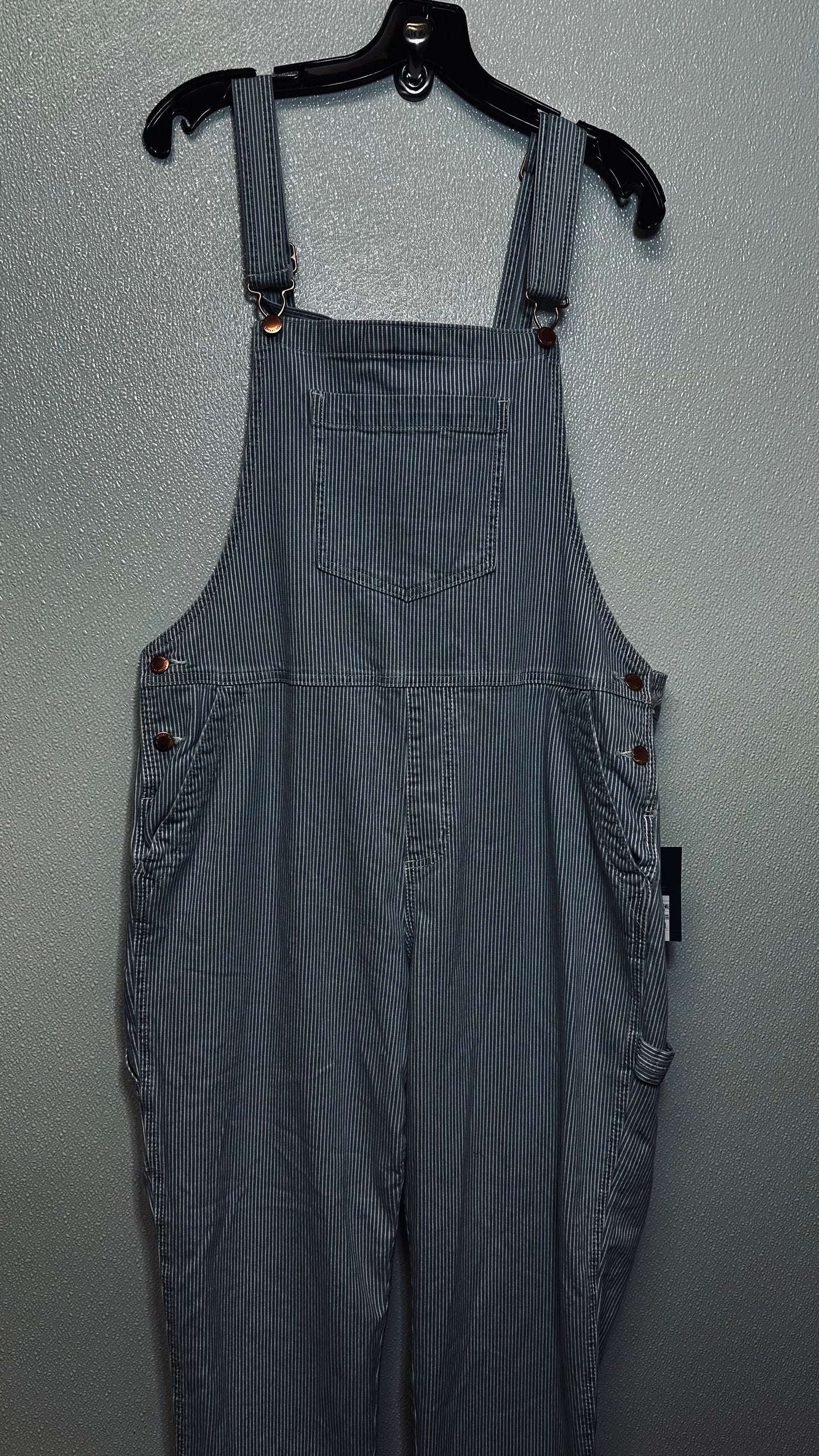 Baby Blue Overalls Universal Thread, Size 12