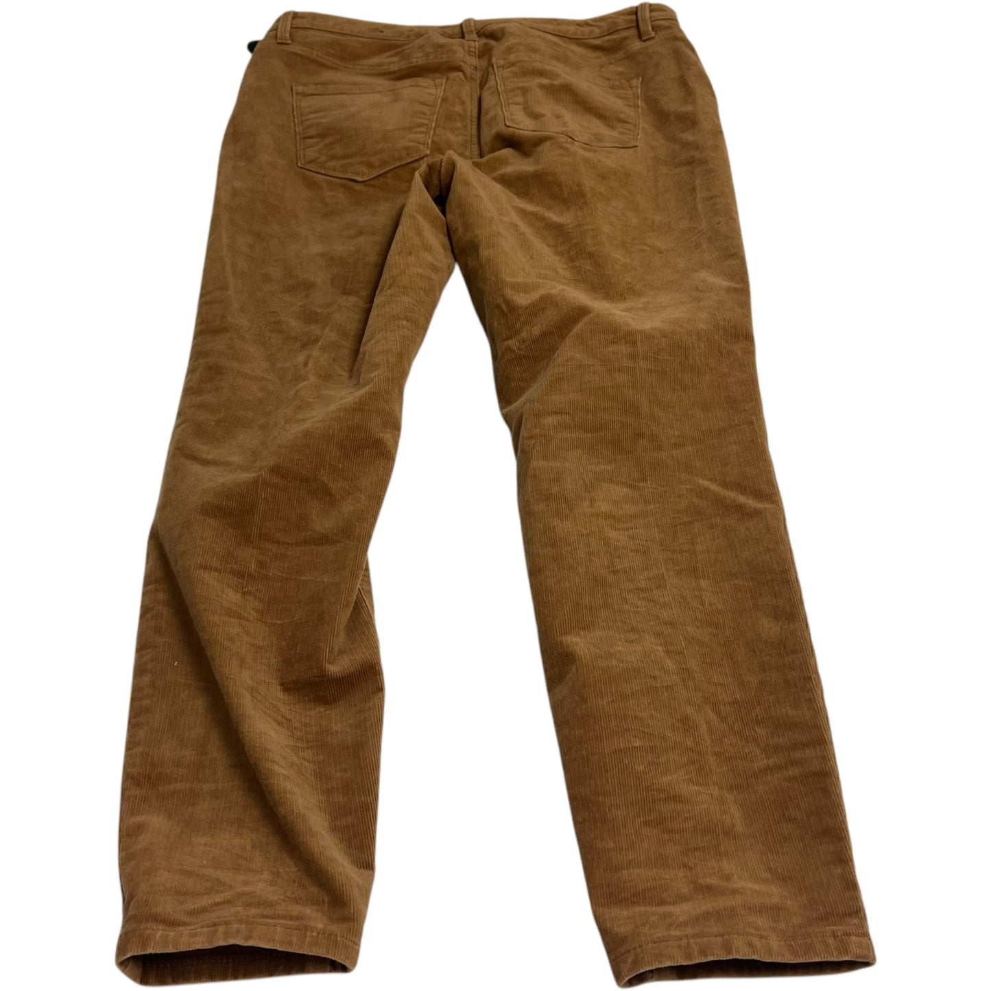 Pants Corduroy By Talbots In Brown, Size: 8p