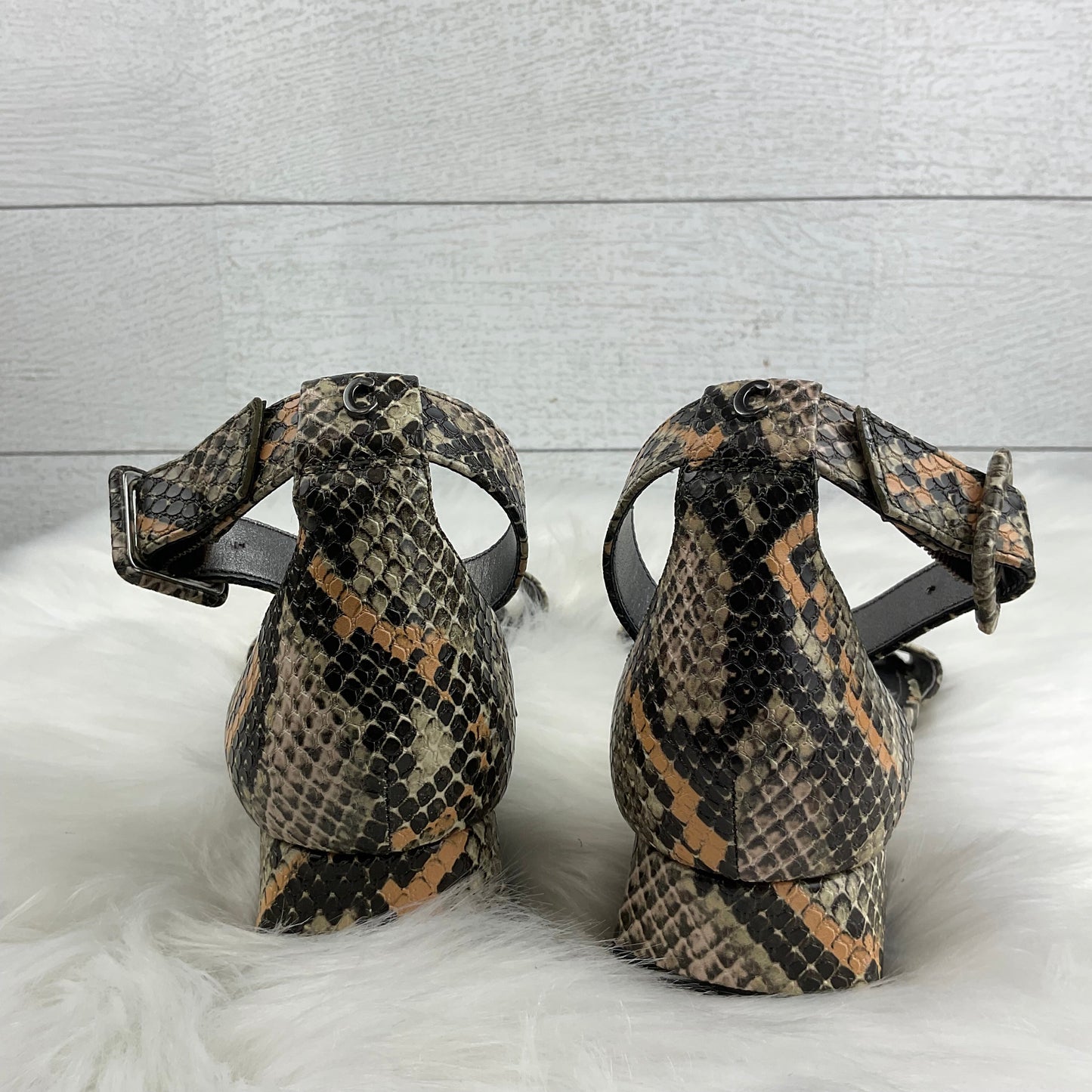 Shoes Heels Block By Sam Edelman In Snakeskin Print, Size: 7.5