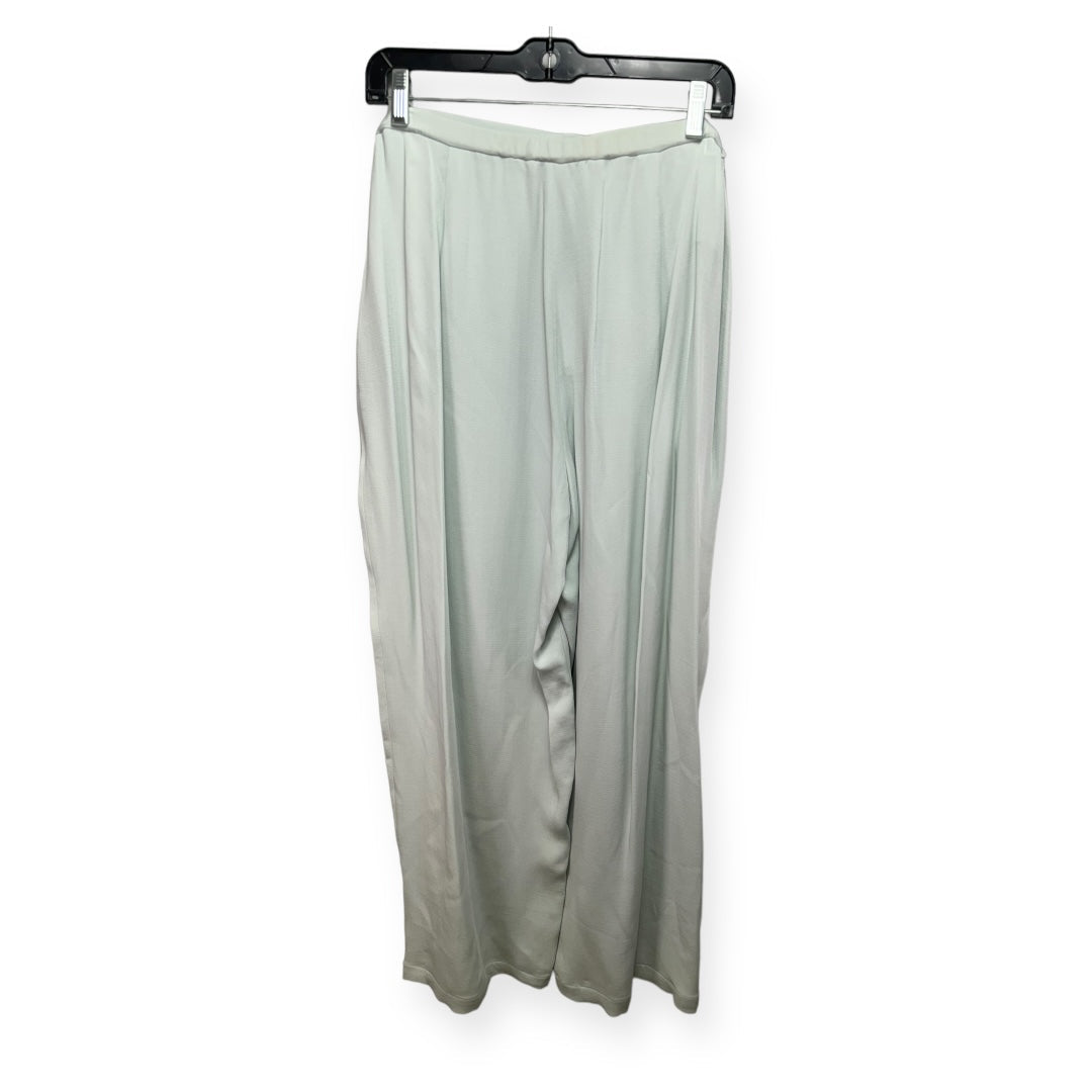 Aqua Pants Designer Eileen Fisher, Size Xl