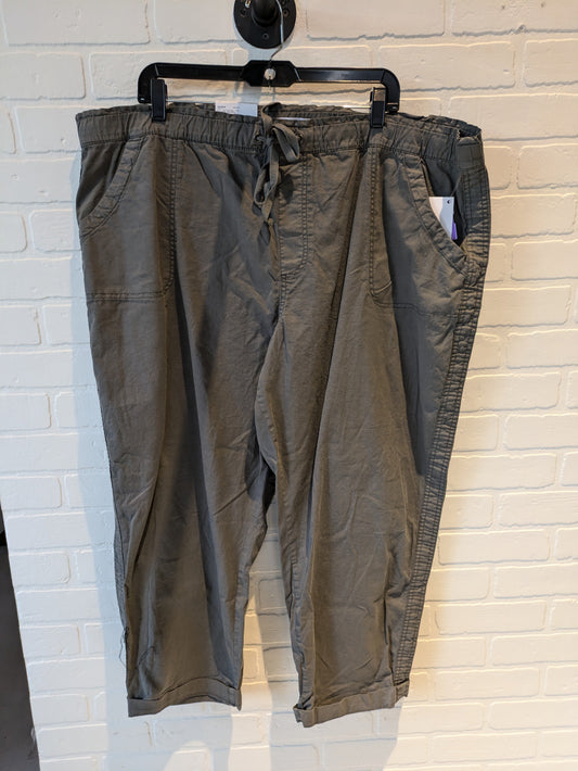 Grey Capris Sonoma, Size 2x