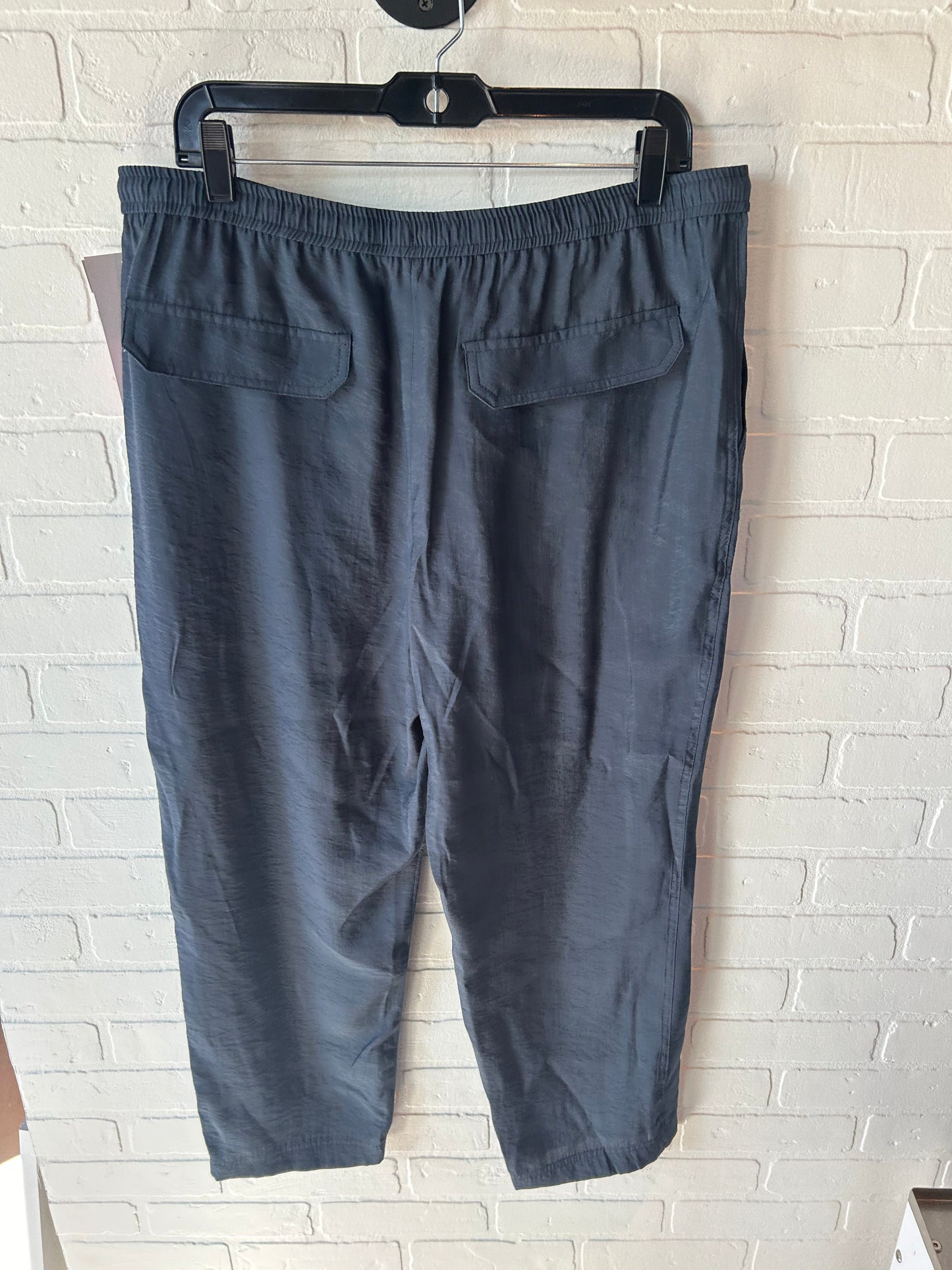 Pants Joggers By Zara In Blue, Size: 14