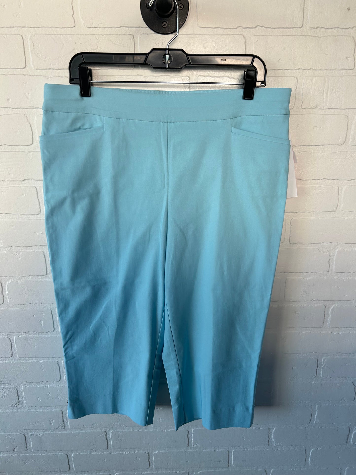 Pants Cropped By Chicos In Blue, Size: L