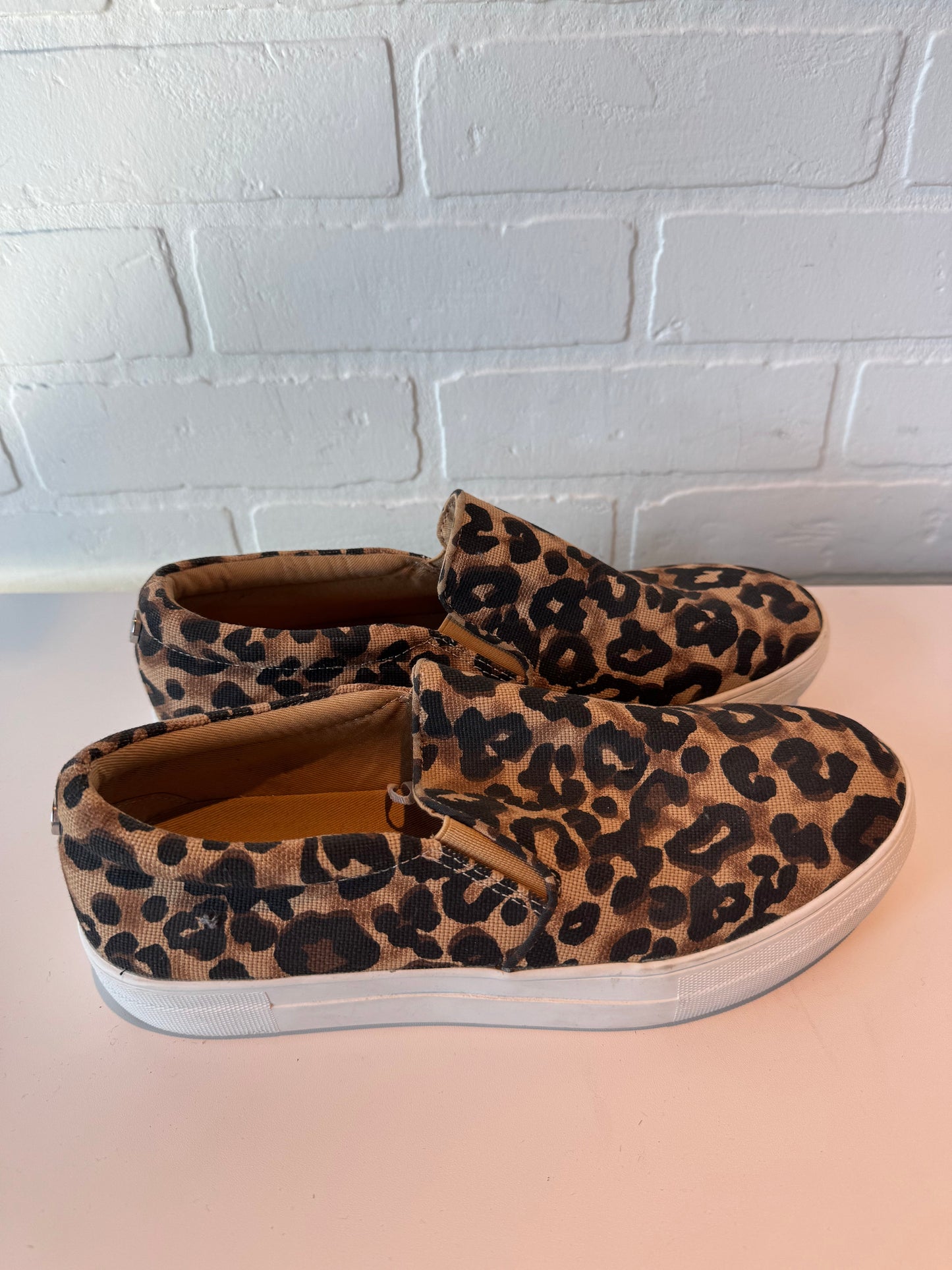 Shoes Flats By Steve Madden In Animal Print, Size: 9.5