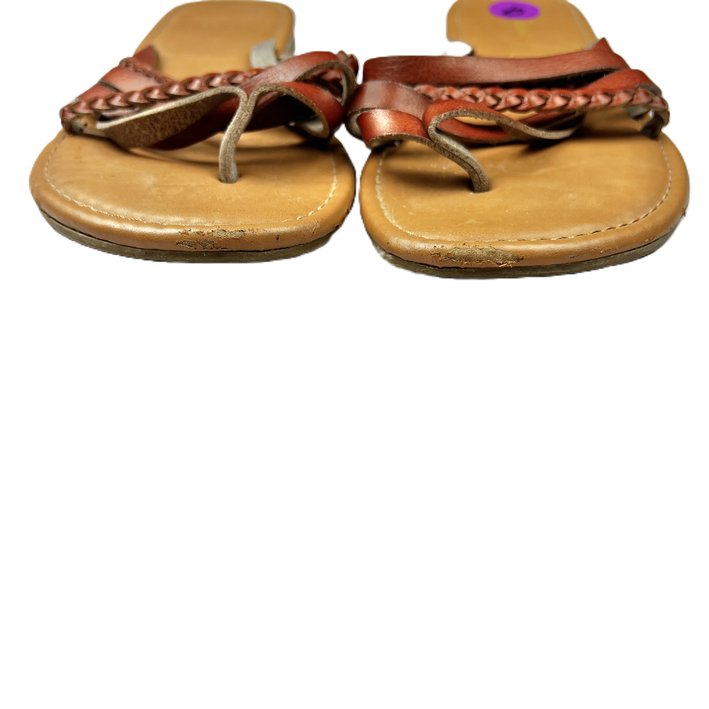 Brown Sandals Flip Flops By Sonoma, Size: 9