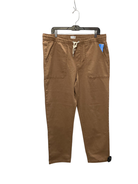 Pants Chinos & Khakis By Time And Tru In Orange, Size: L