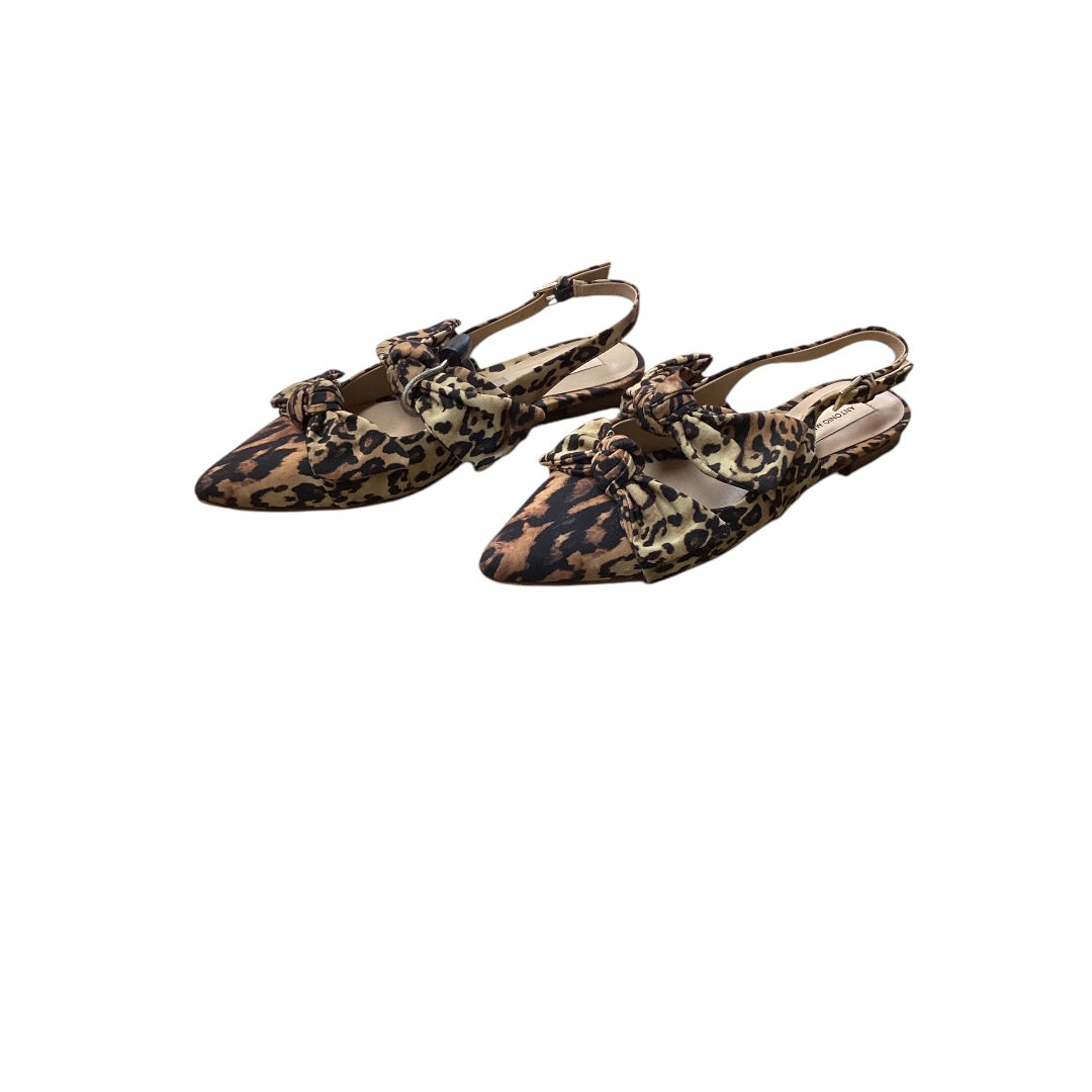 Shoes Flats By Antonio Melani In Animal Print, Size: 8