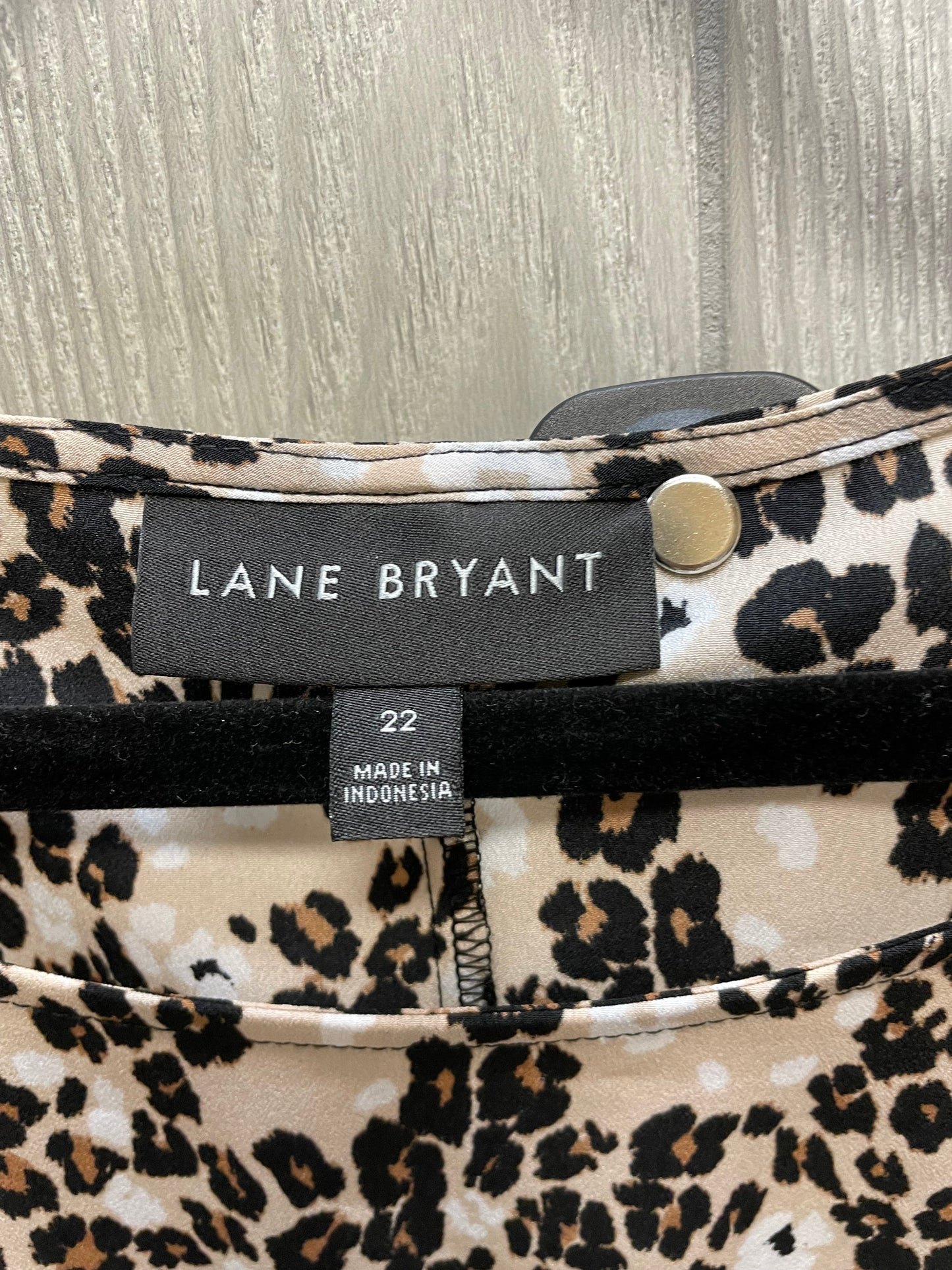 Blouse Short Sleeve By Lane Bryant  Size: 2x