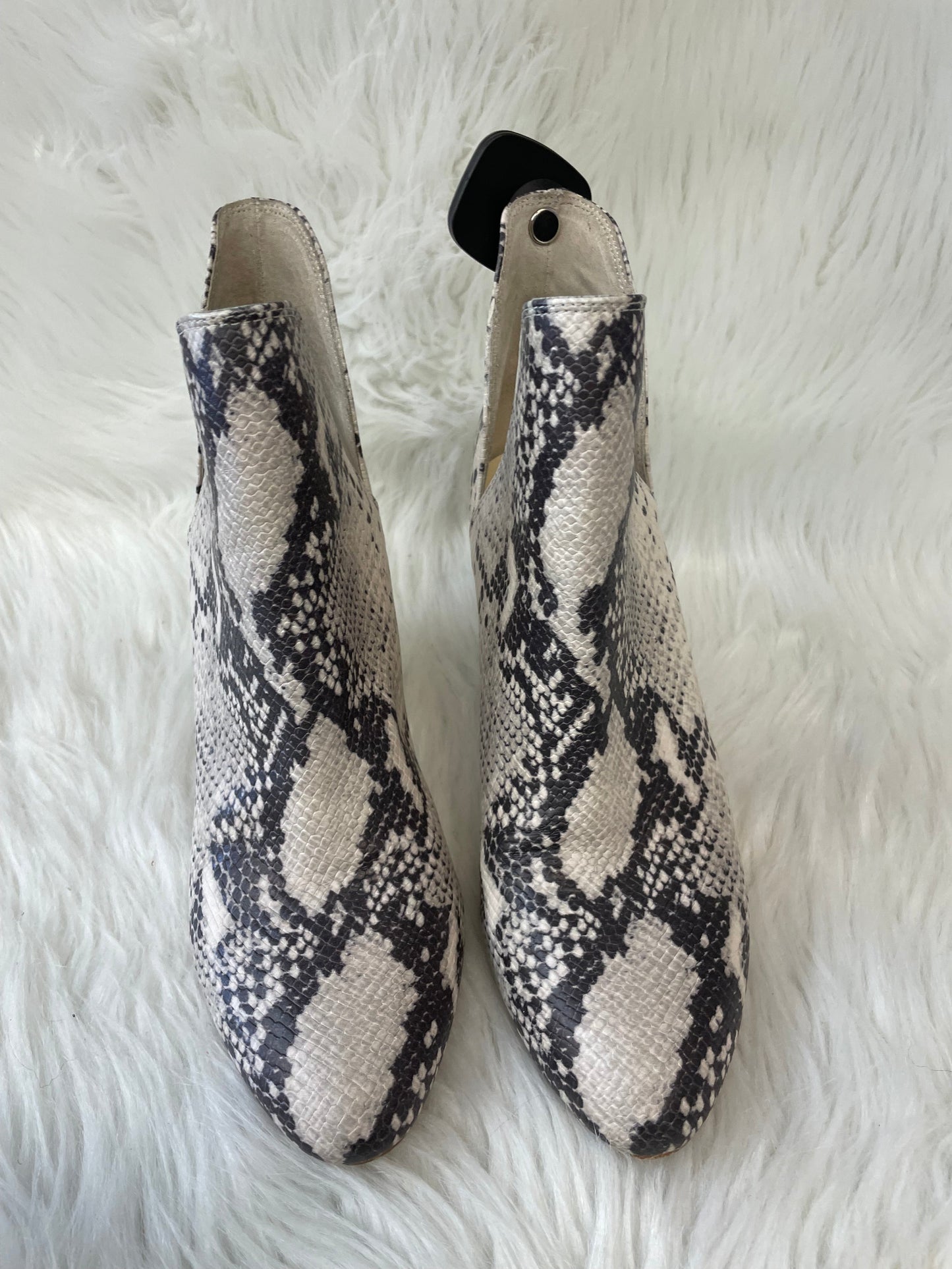 Boots Ankle Heels By Steve Madden In Snakeskin Print, Size: 9