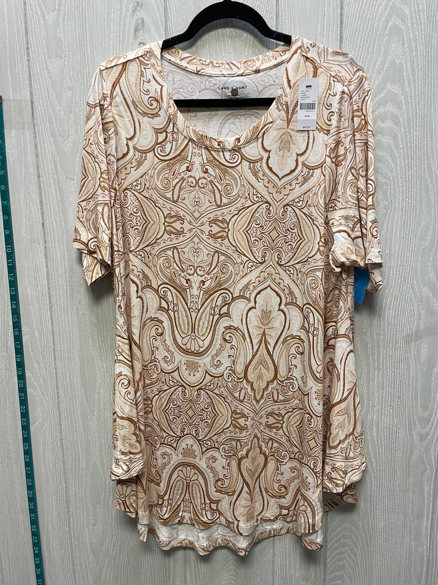 Top Short Sleeve By Lane Bryant In Brown & Cream, Size: 1x