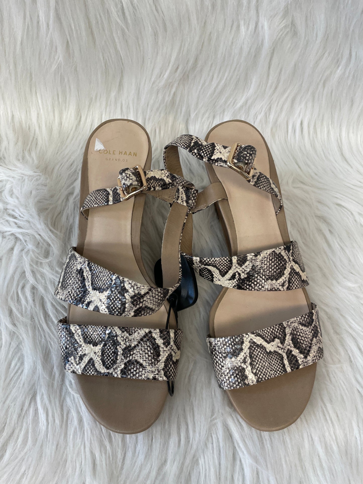 Snakeskin Print Sandals Heels Wedge Cole-haan, Size 6.5