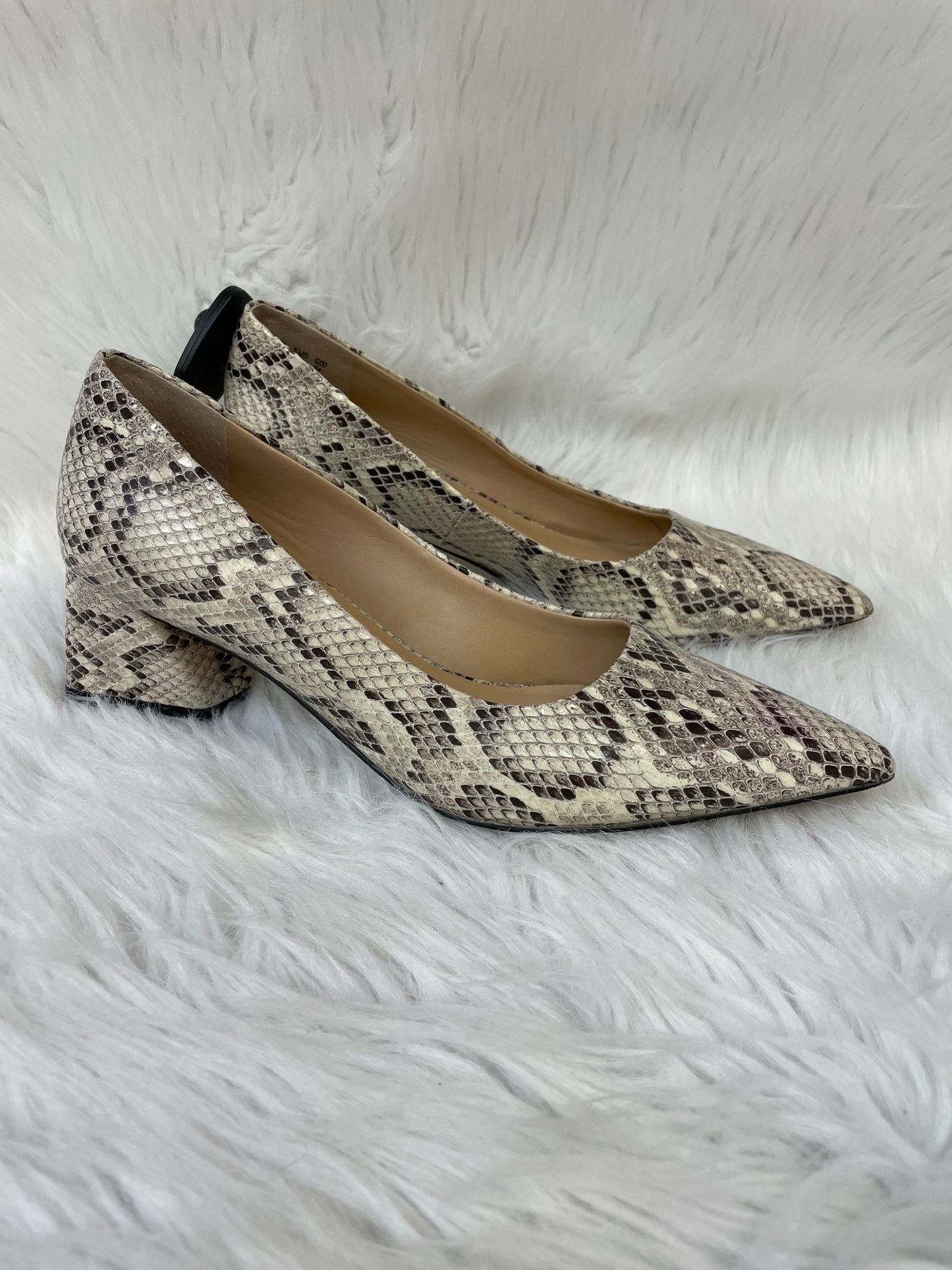 Shoes Heels Block By Franco Sarto In Snakeskin Print, Size: 7