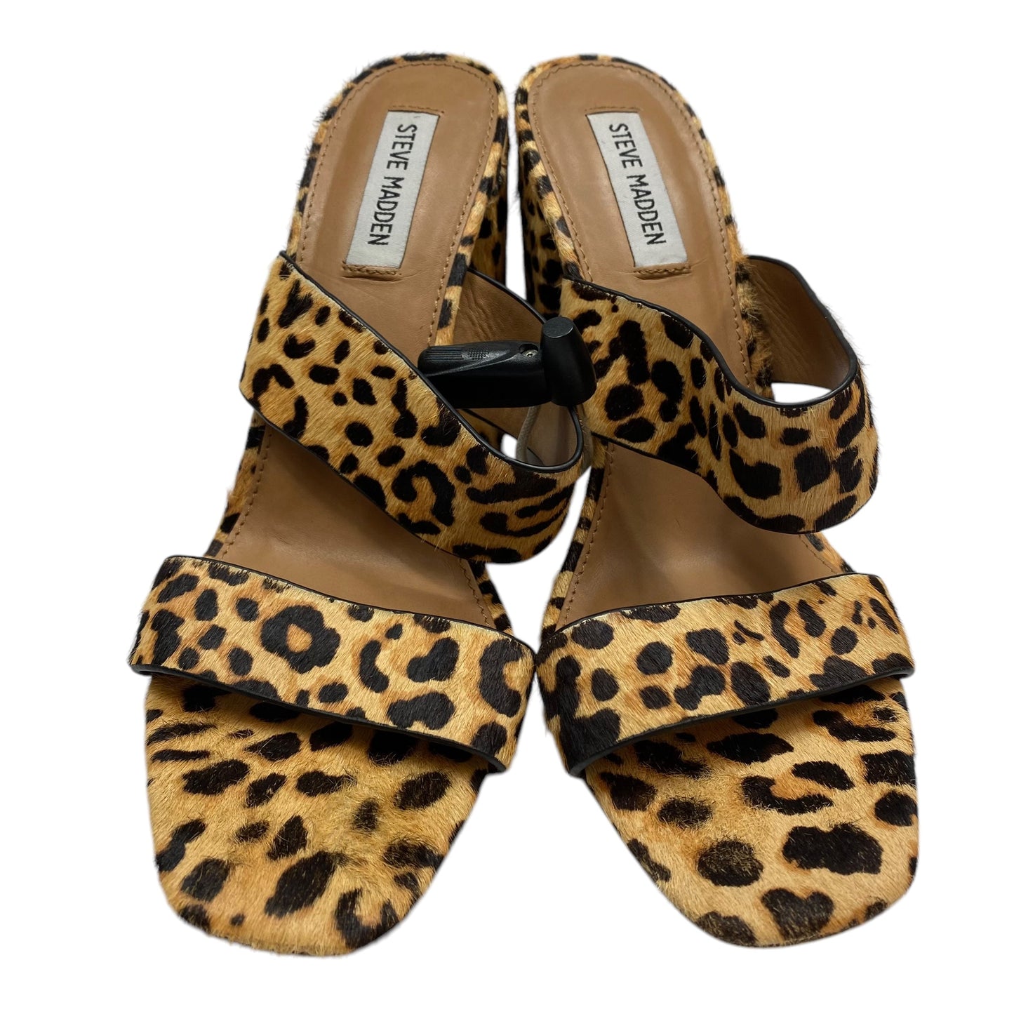 Sandals Heels Block By Steve Madden In Animal Print, Size: 9.5