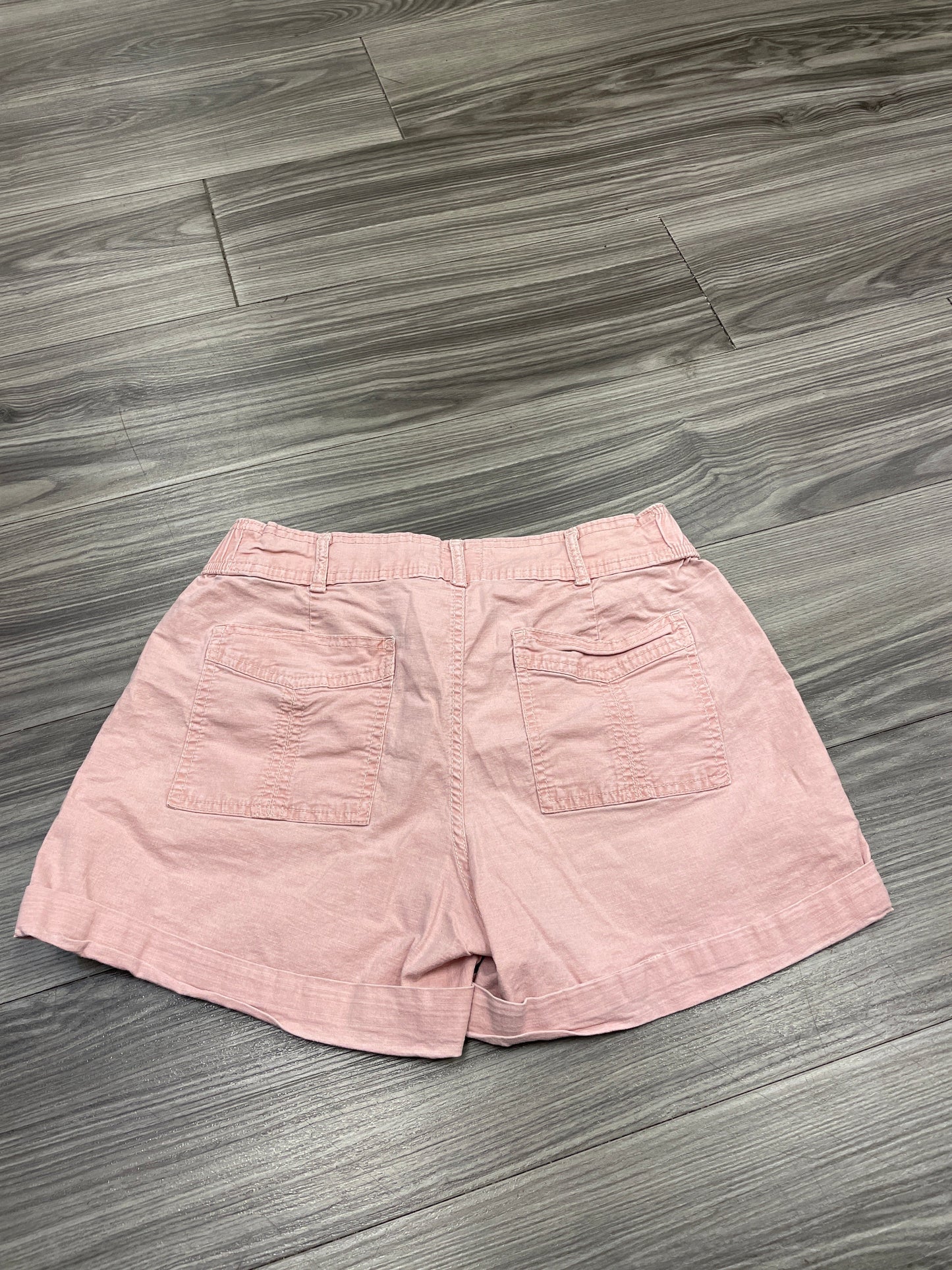 Shorts By Time And Tru  Size: 6