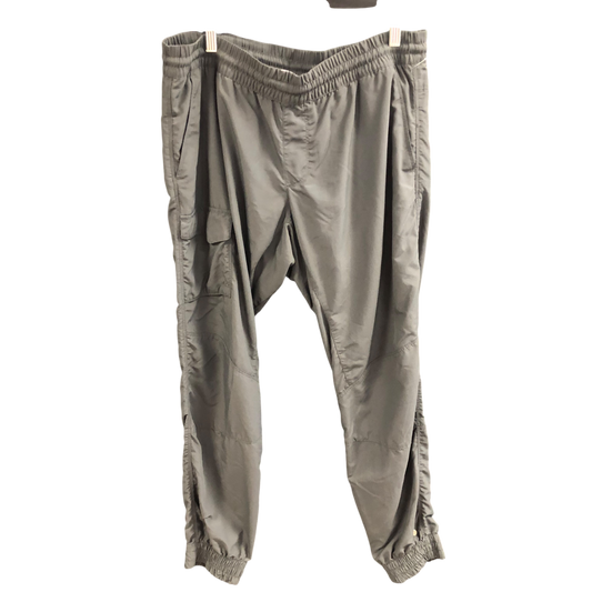 Athletic Pants By Columbia In Grey, Size: L