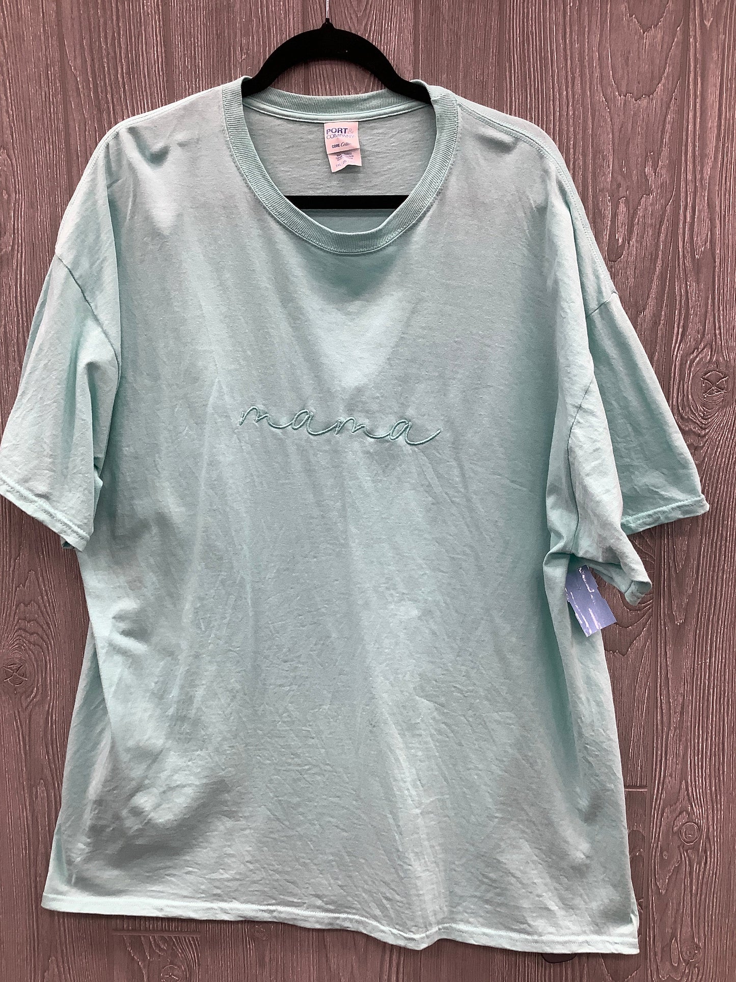 Top Short Sleeve By Clothes Mentor In Teal, Size: 2x