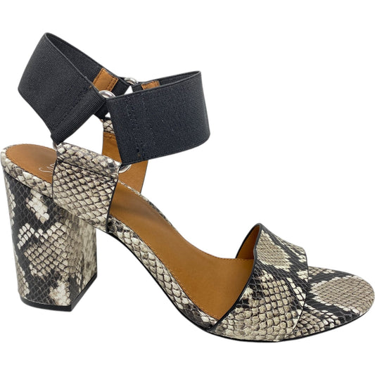 Sandals Heels Block By Franco Sarto In Snakeskin Print, Size: 10