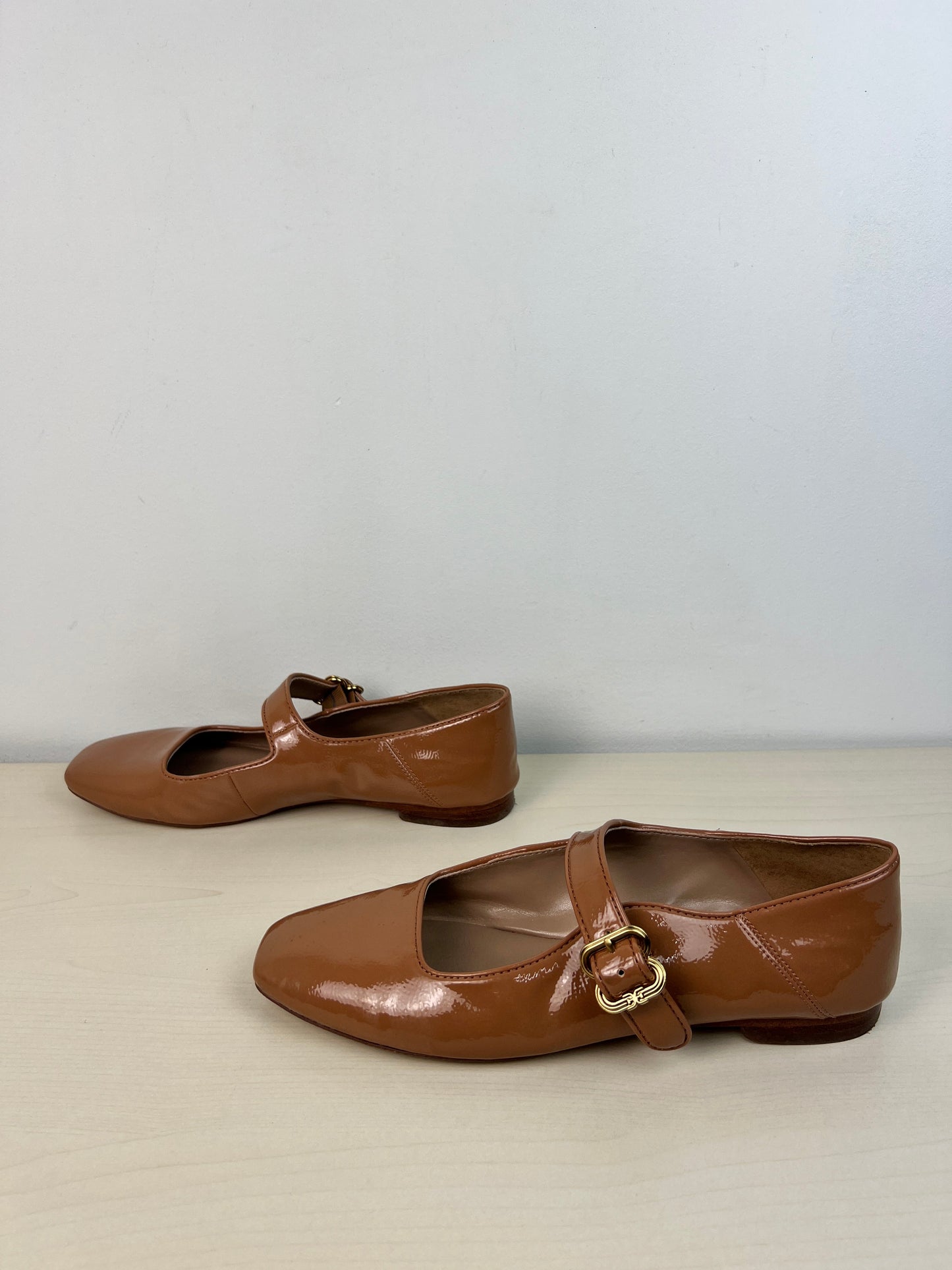 Shoes Flats By Sam Edelman In Brown, Size: 8