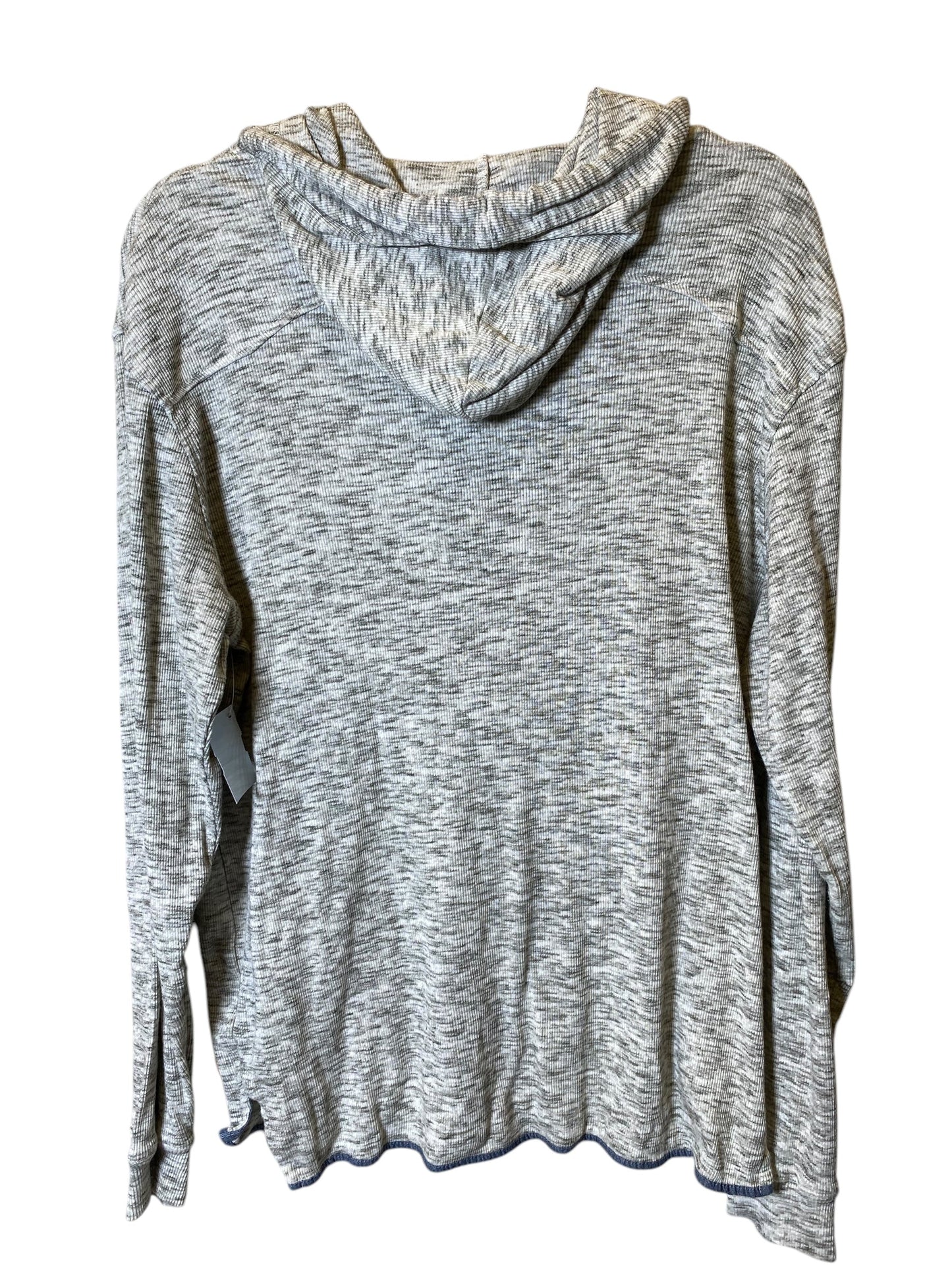 Sweatshirt Hoodie By Cmc In Grey, Size: L